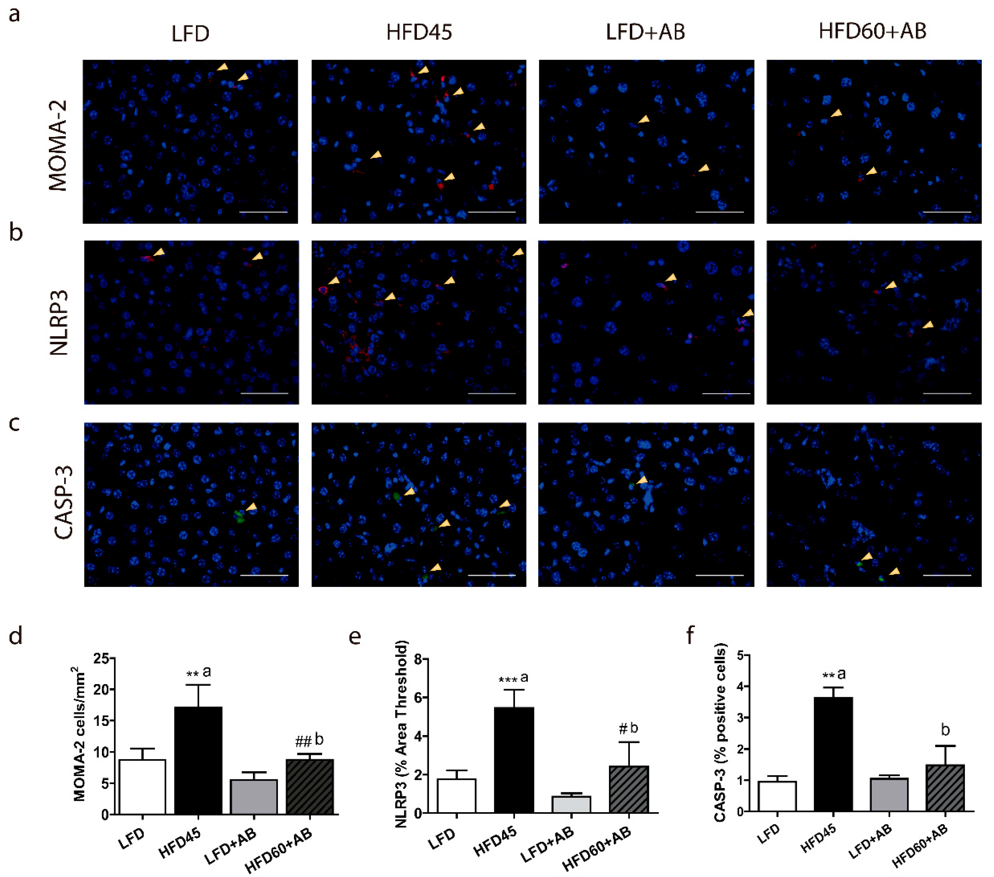 Foods 10 01788 g004 Foods 10 01788 g004