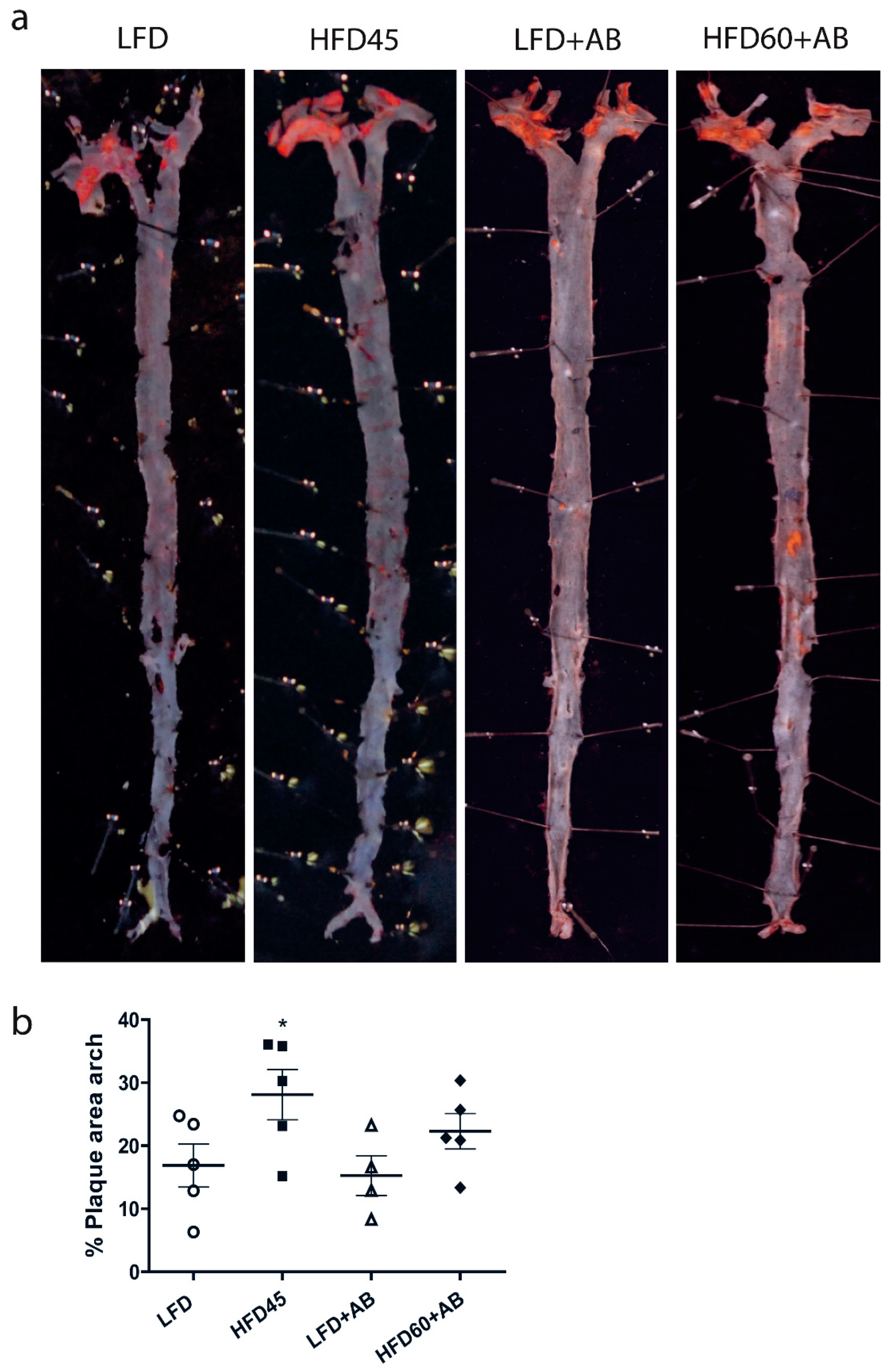 Foods 10 01788 g006 Foods 10 01788 g006