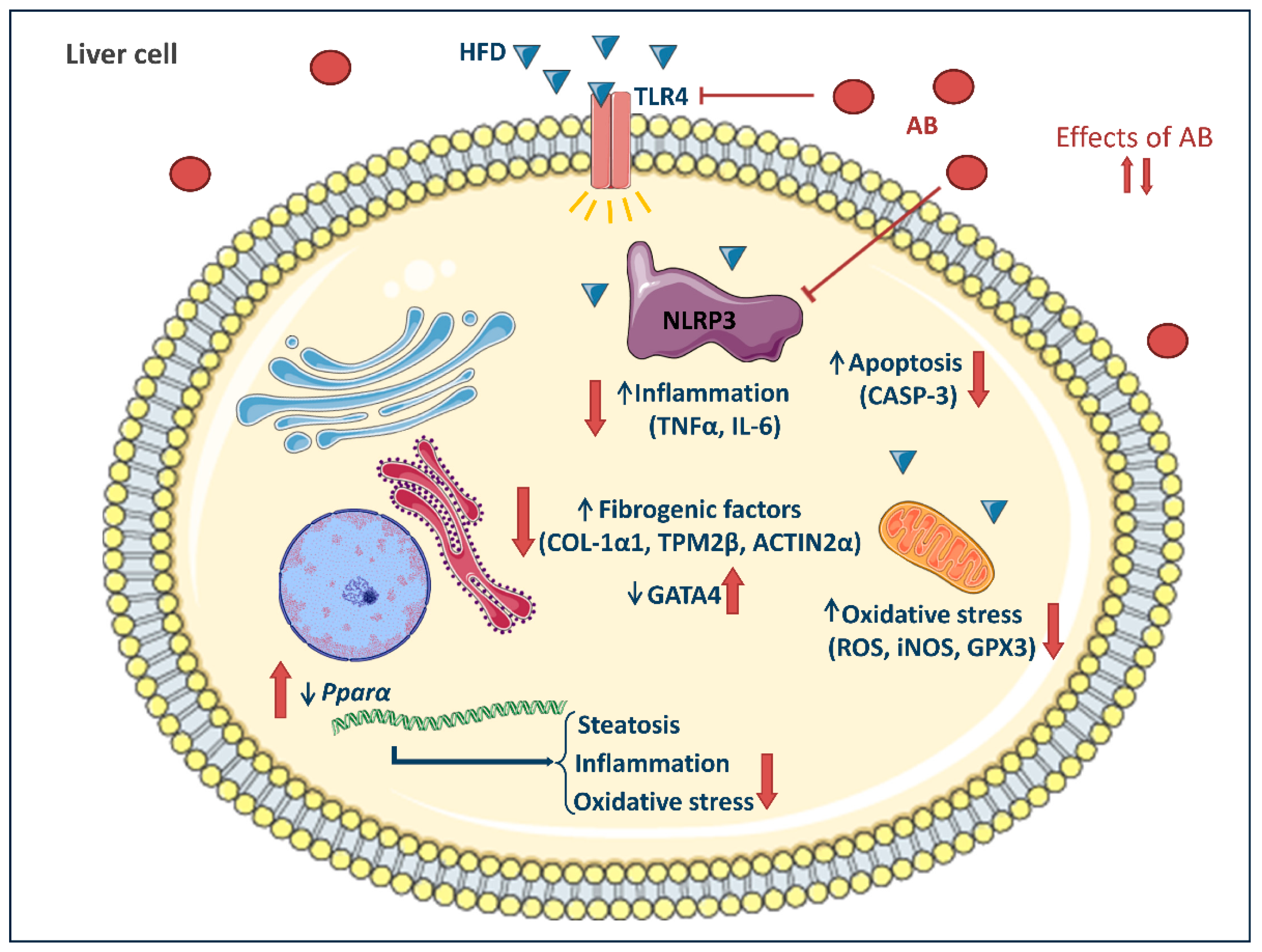 Foods 10 01788 g007 Foods 10 01788 g007