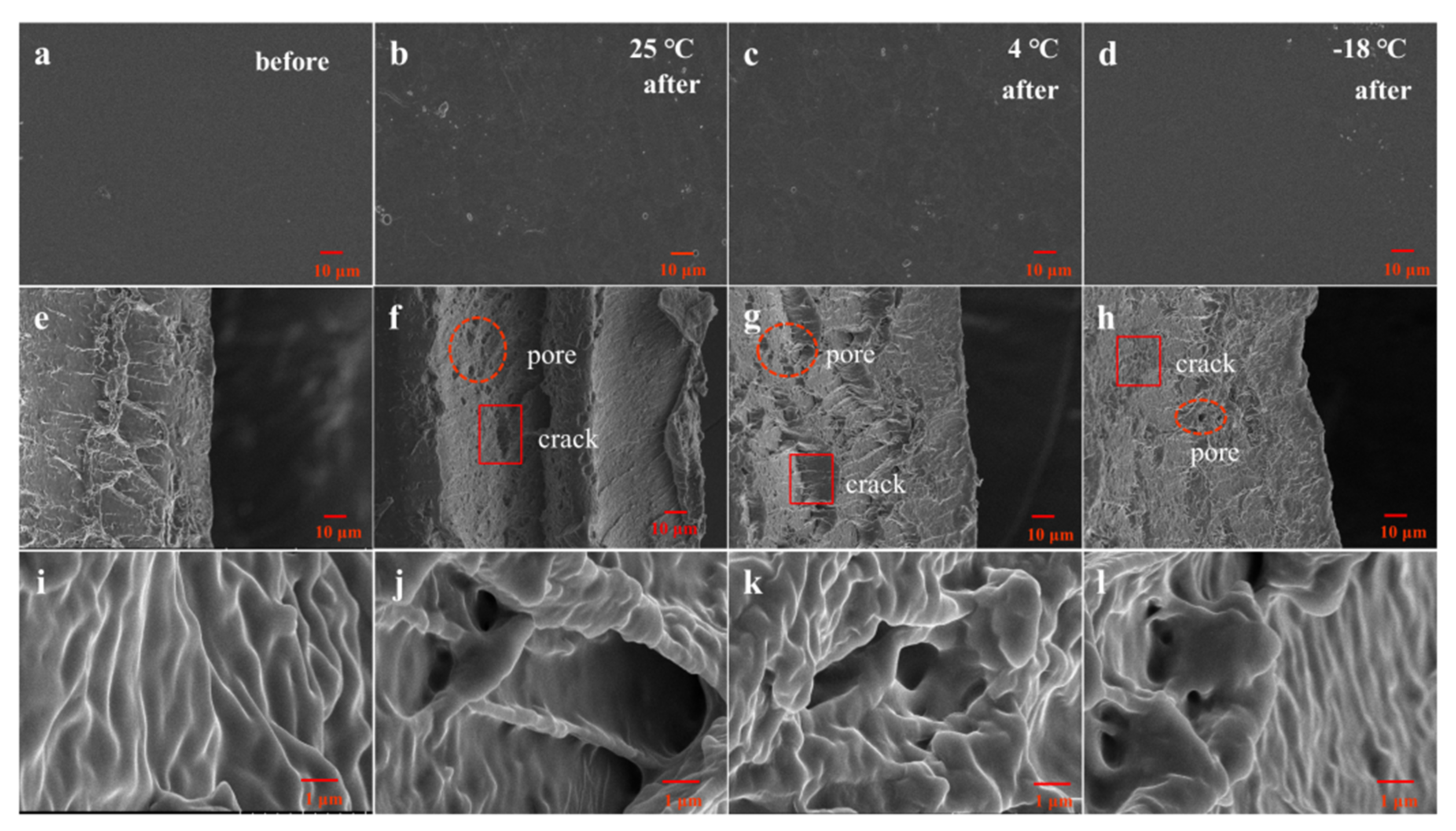 Foods 10 01797 g004 550