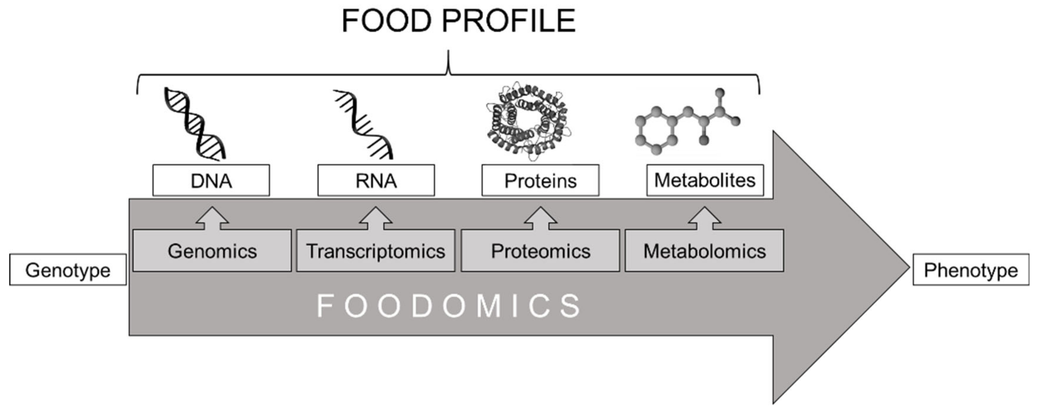 Foods Free Full Text Diving Deep Into The Data A Review Of Deep Learning Approaches And Potential Applications In Foodomics Html