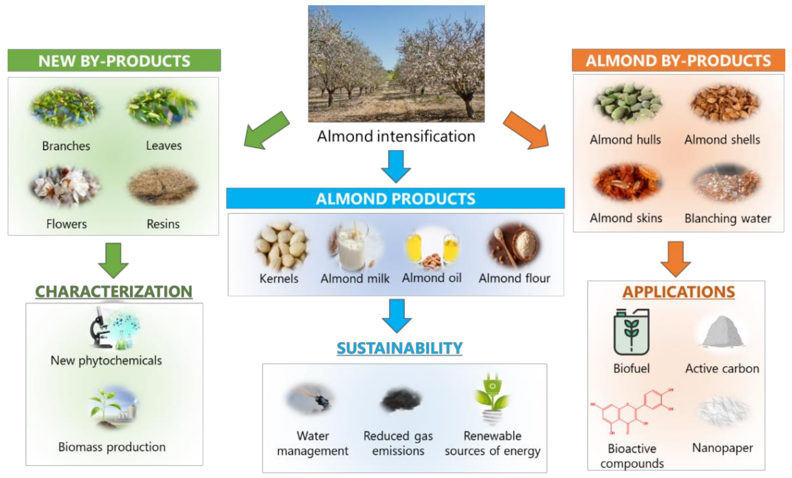 Foods 10 01823 g003 Foods 10 01823 g003