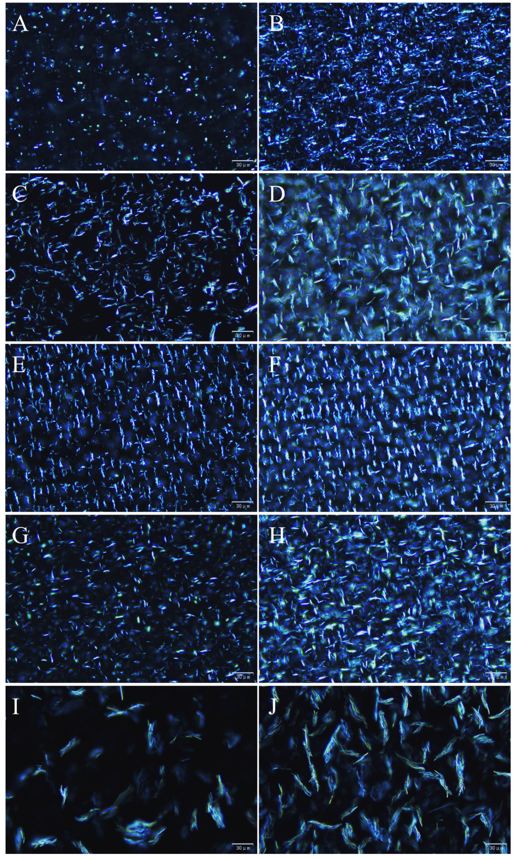 Foods 10 01828 g002 550
