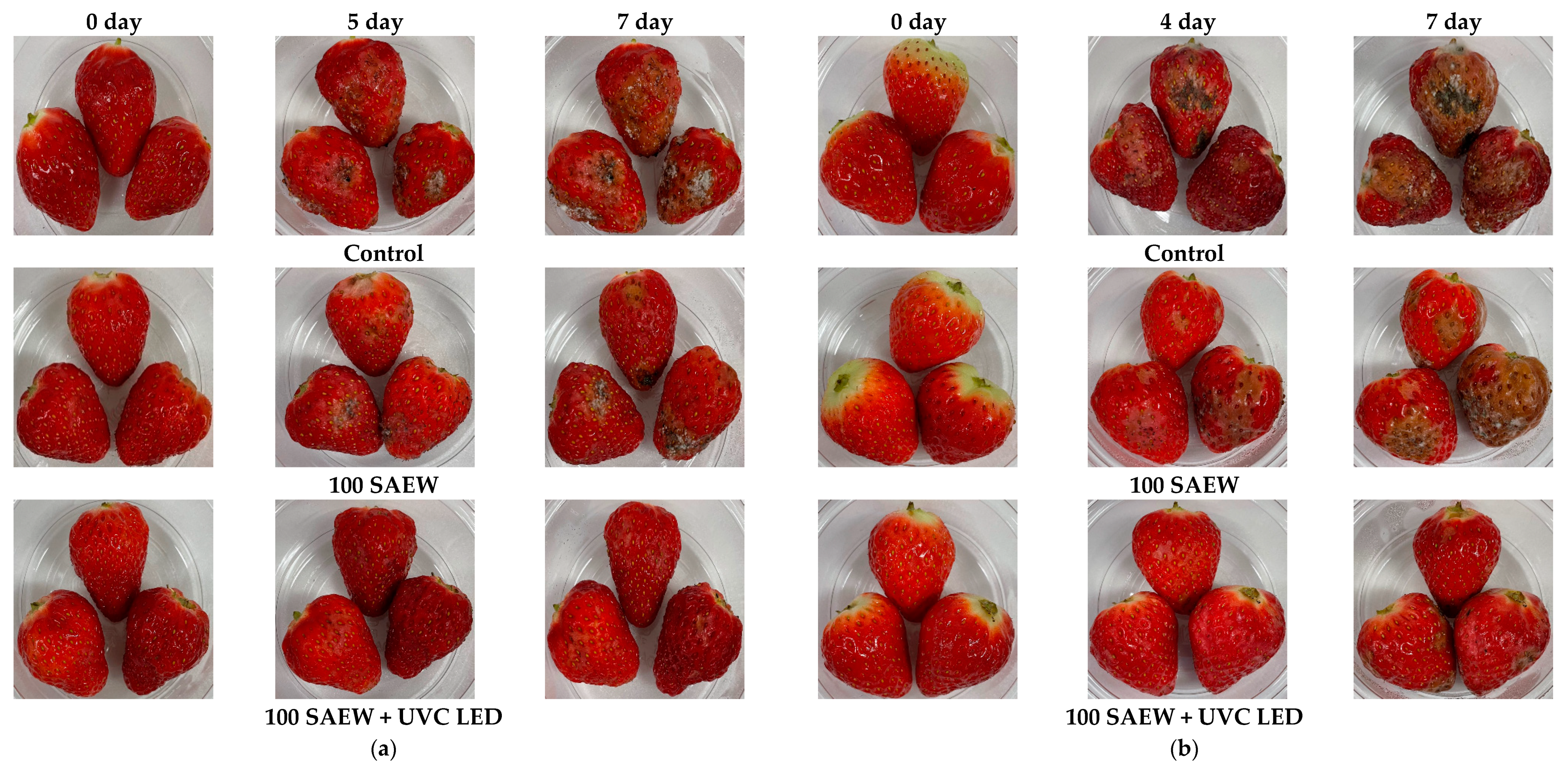 Foods 10 01834 g005 Foods 10 01834 g005