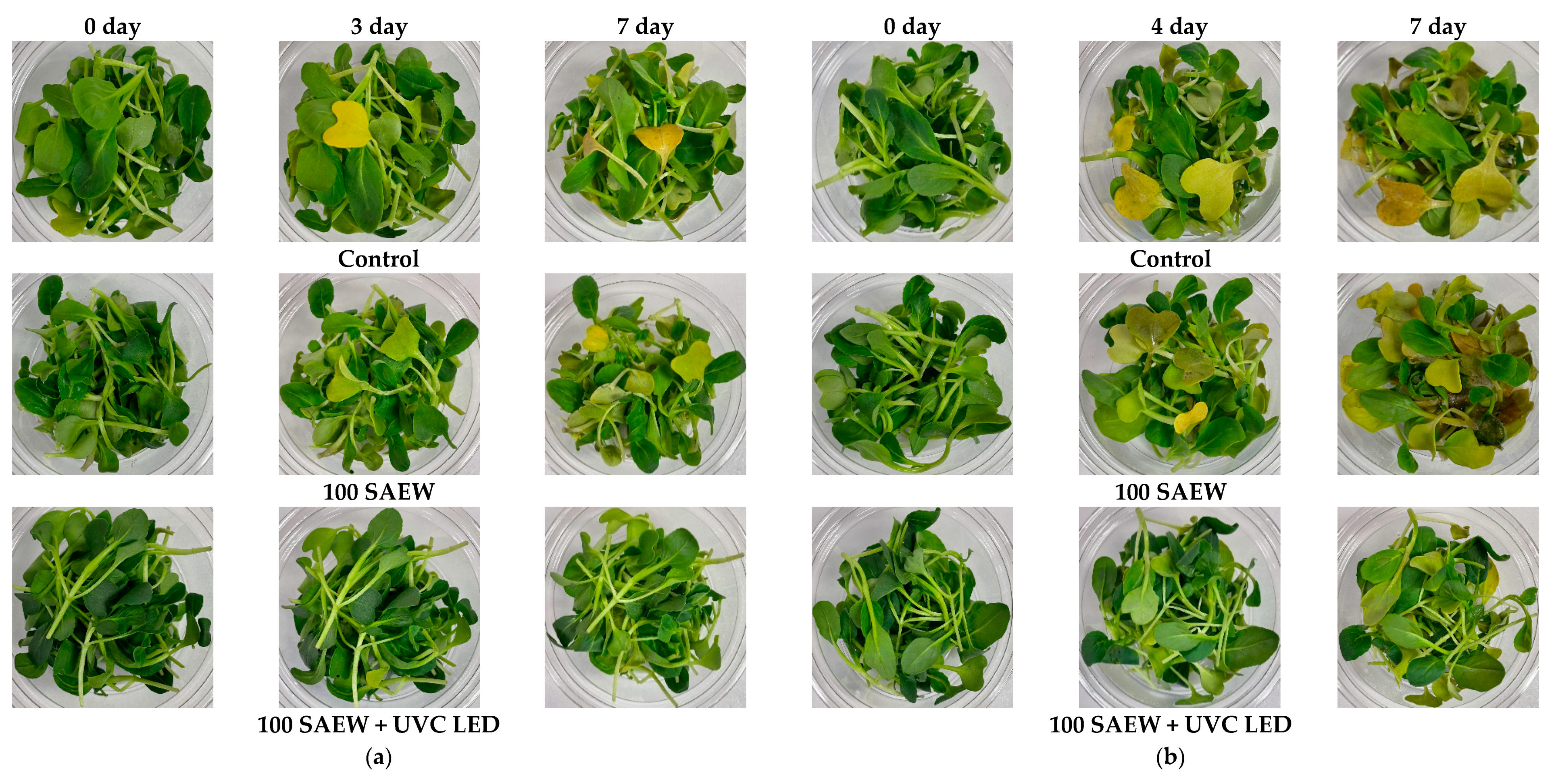 Foods 10 01834 g006 Foods 10 01834 g006