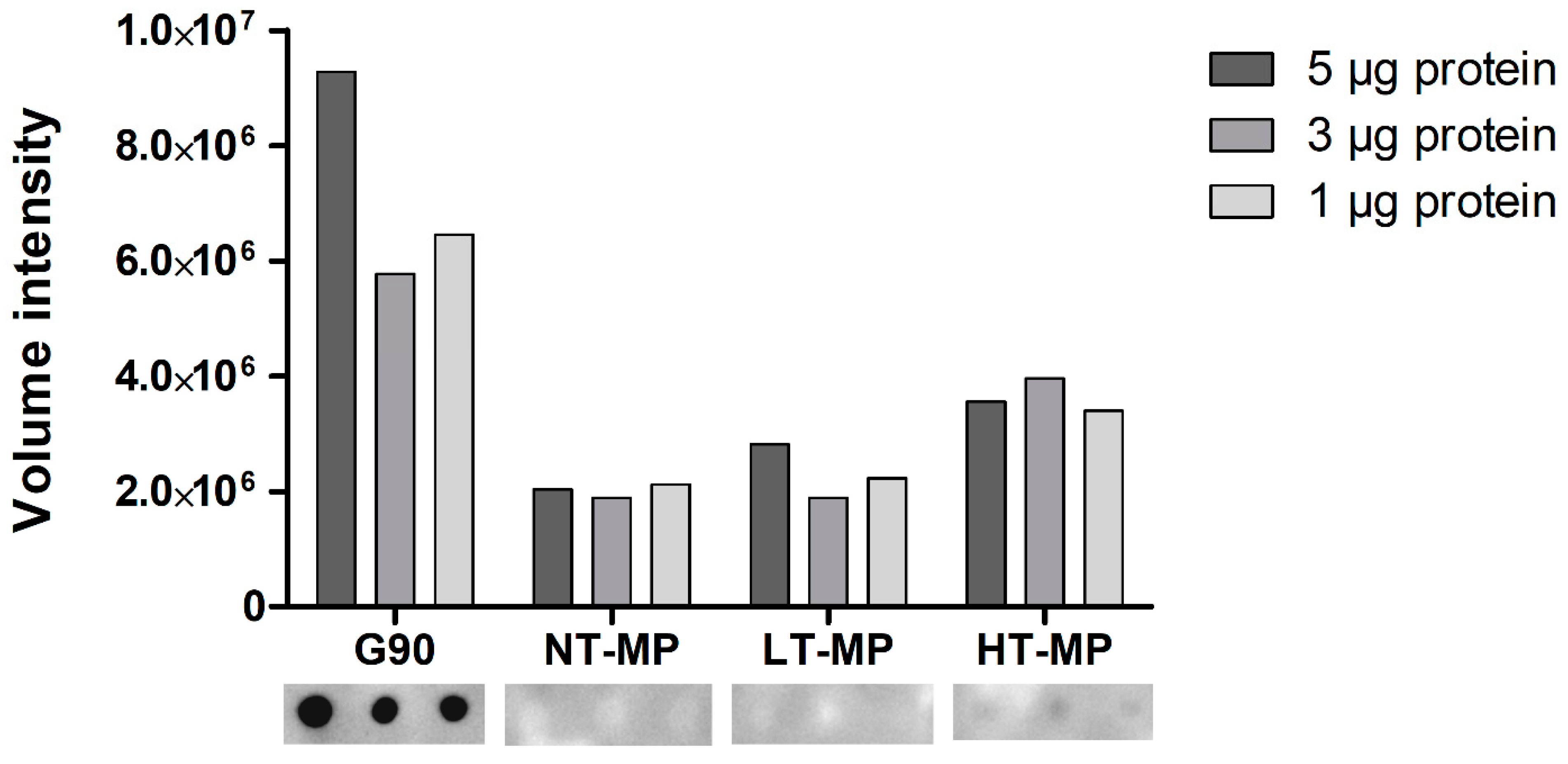 Foods 10 01836 g003 550