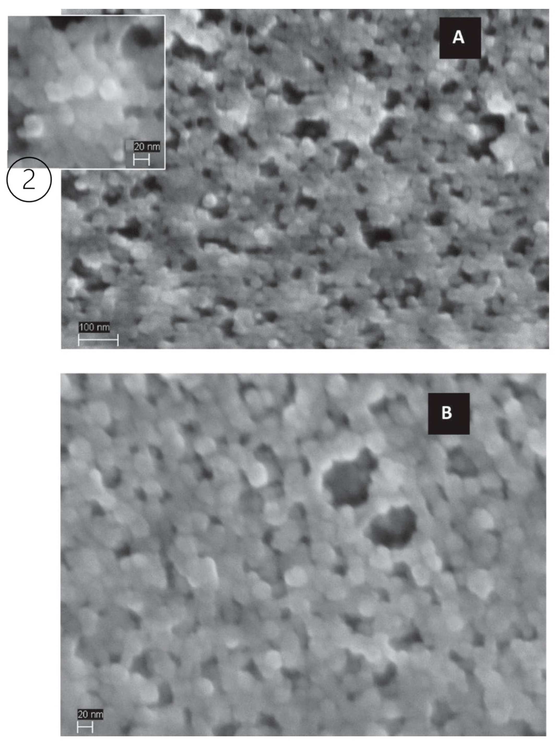 Foods 10 01867 g005b