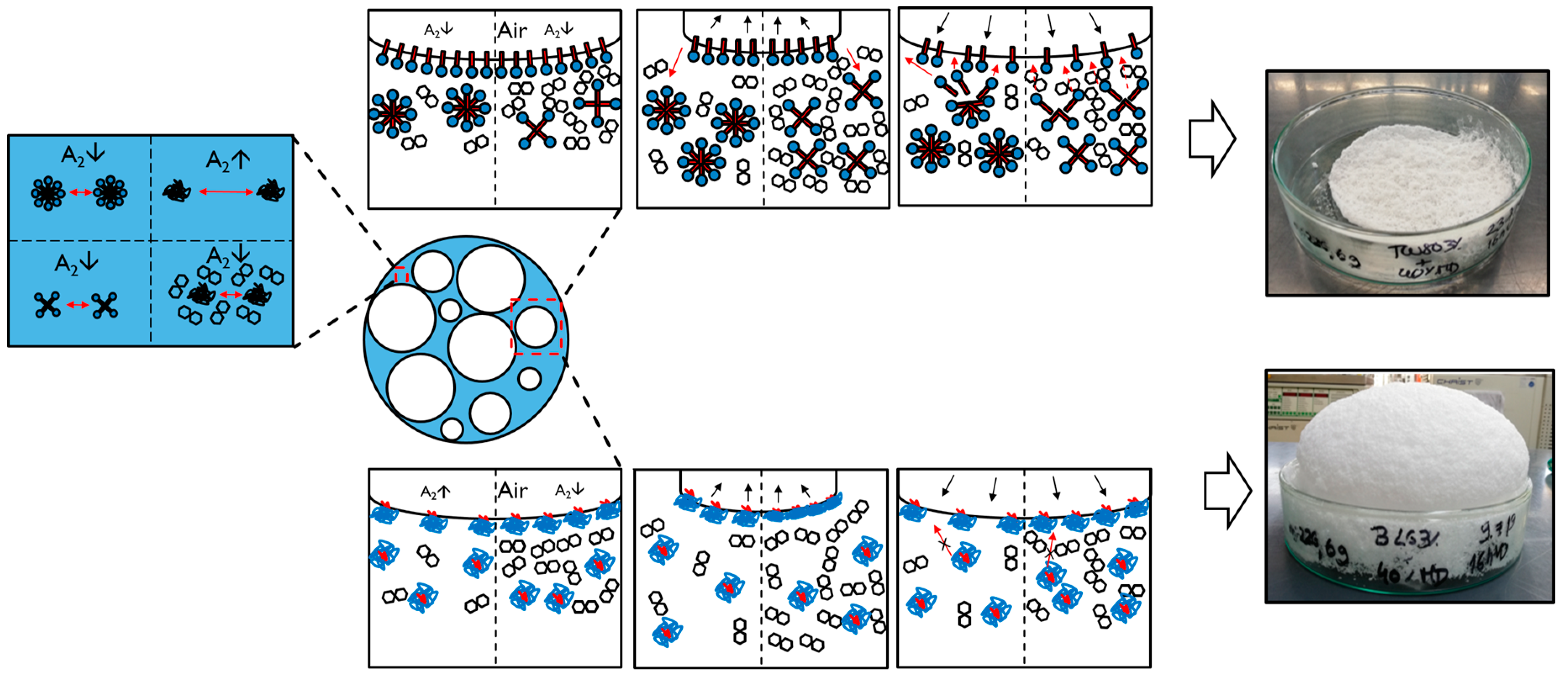 Foods Free FullText Stability of Foams in Vacuum Drying Processes