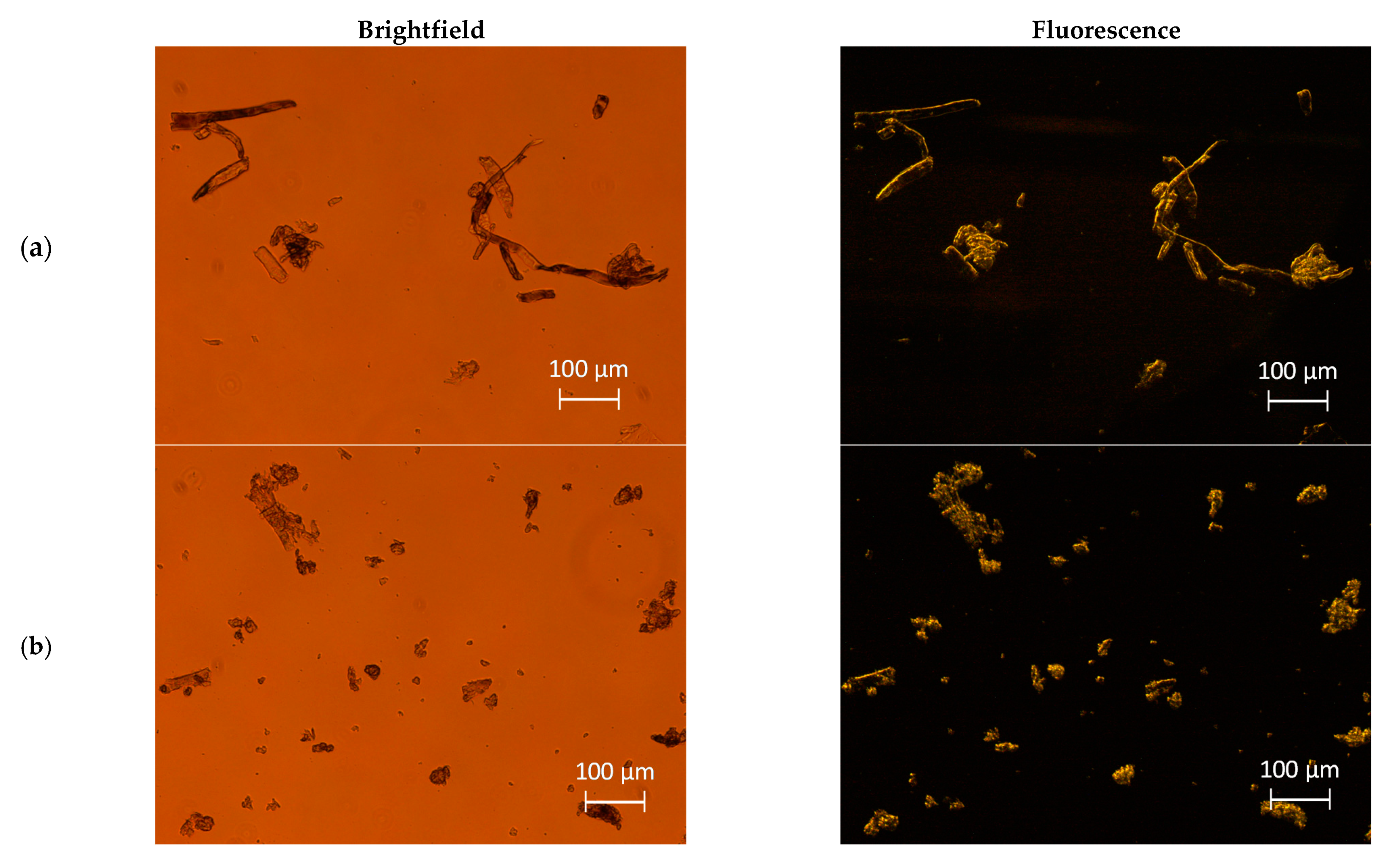 Foods 10 01886 g001a