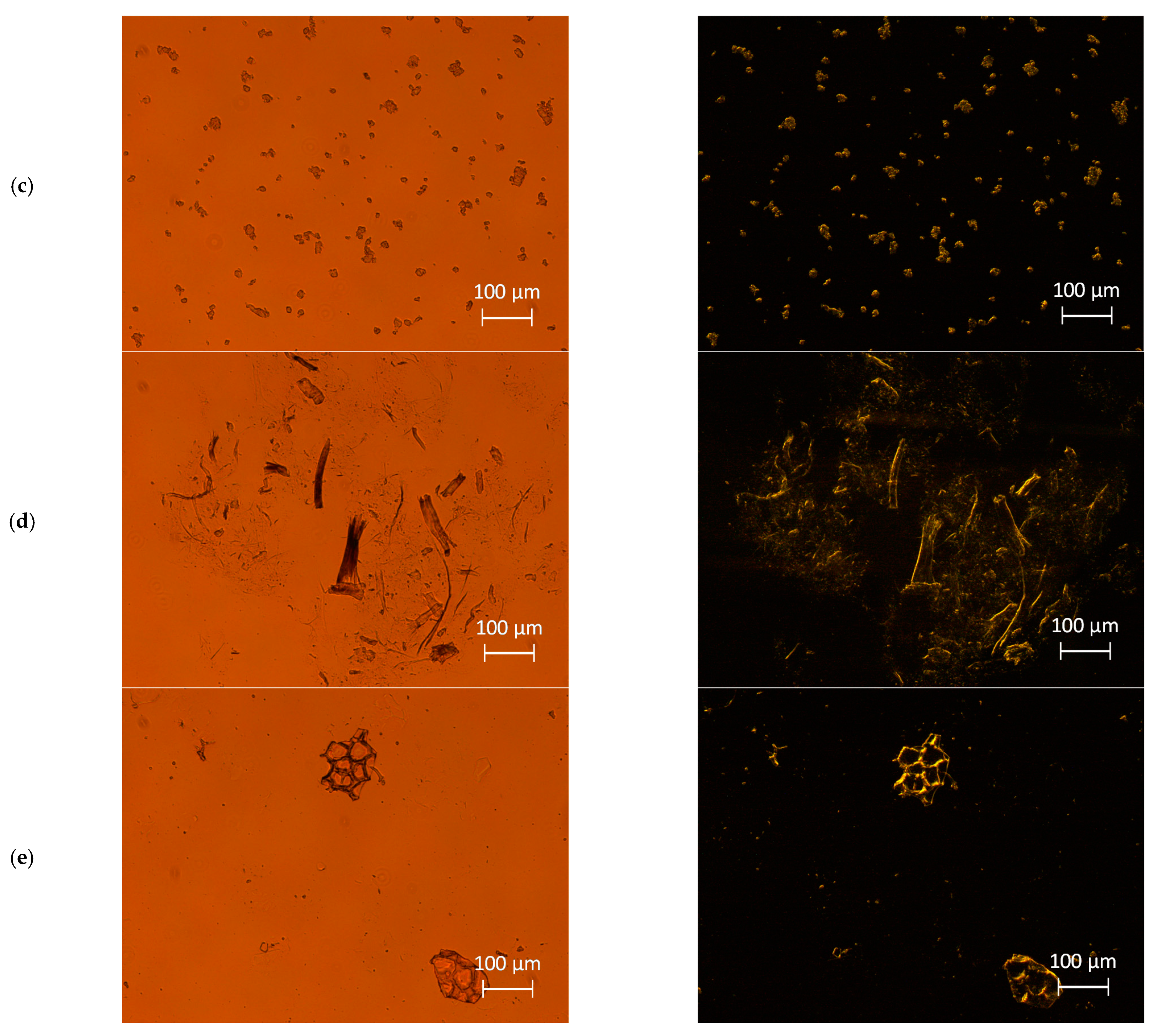 Foods 10 01886 g001b