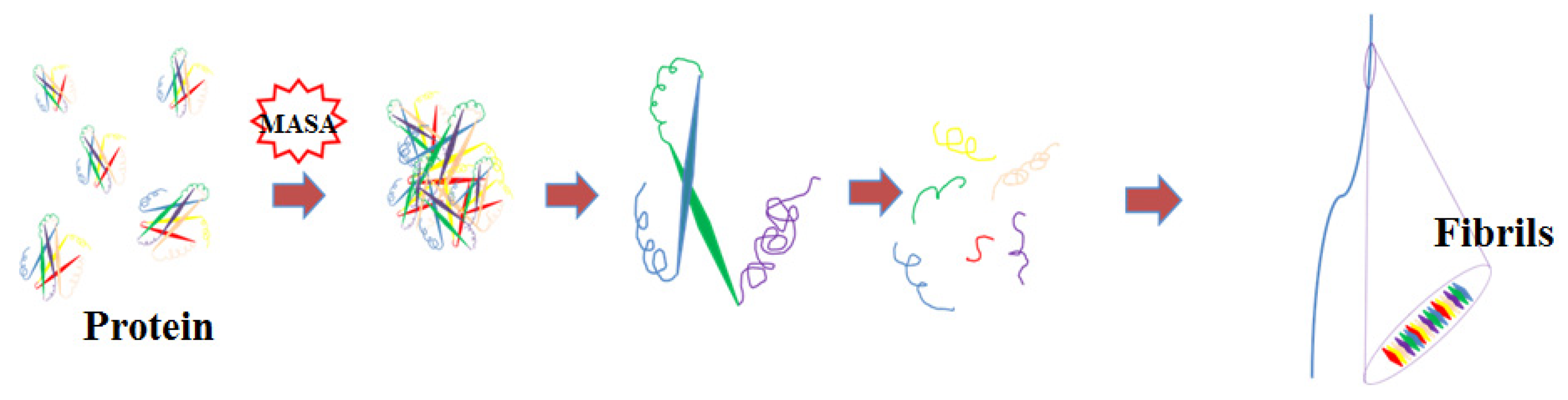 Foods 10 01892 g004 550