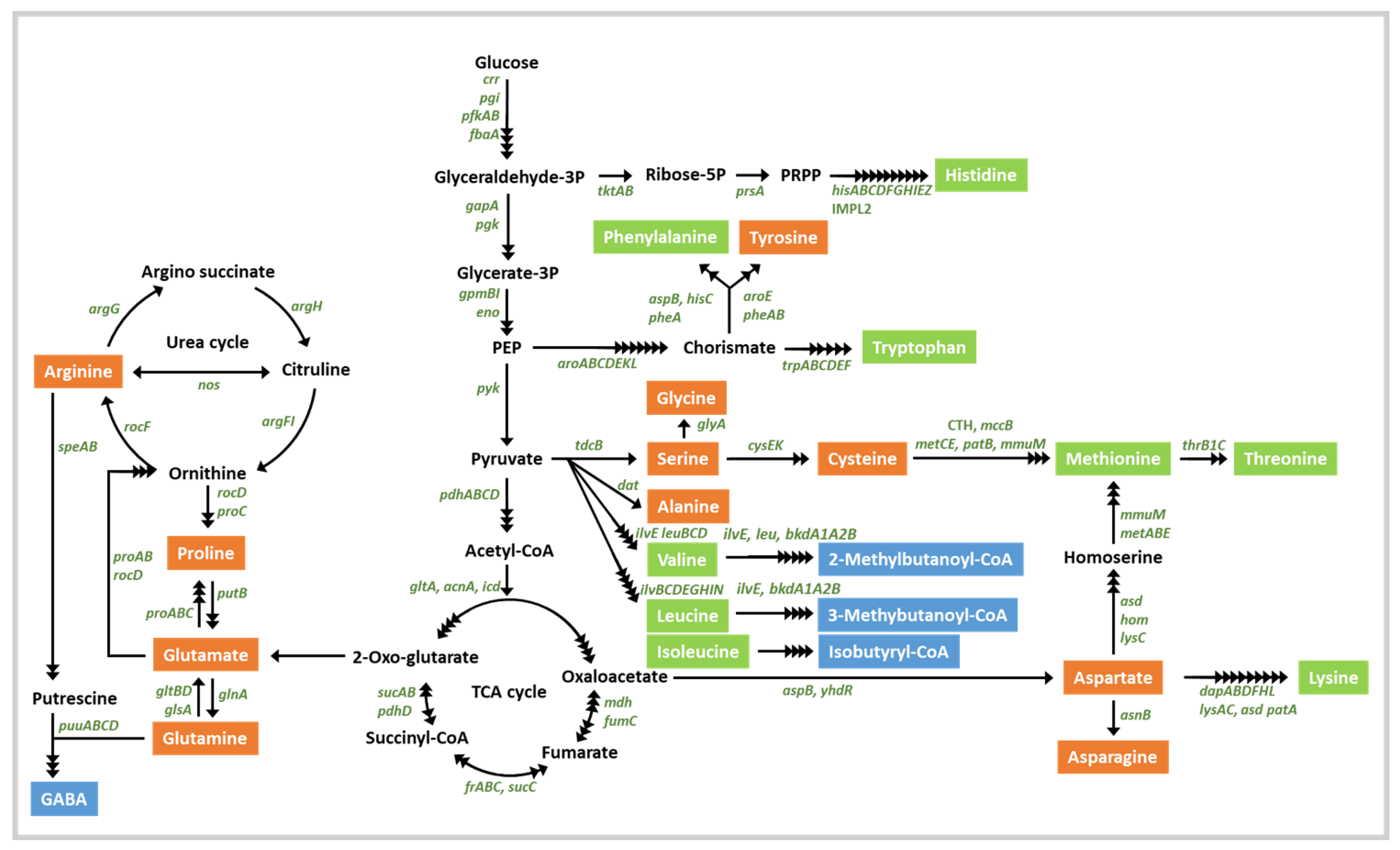 Foods 10 01906 g003 Foods 10 01906 g003