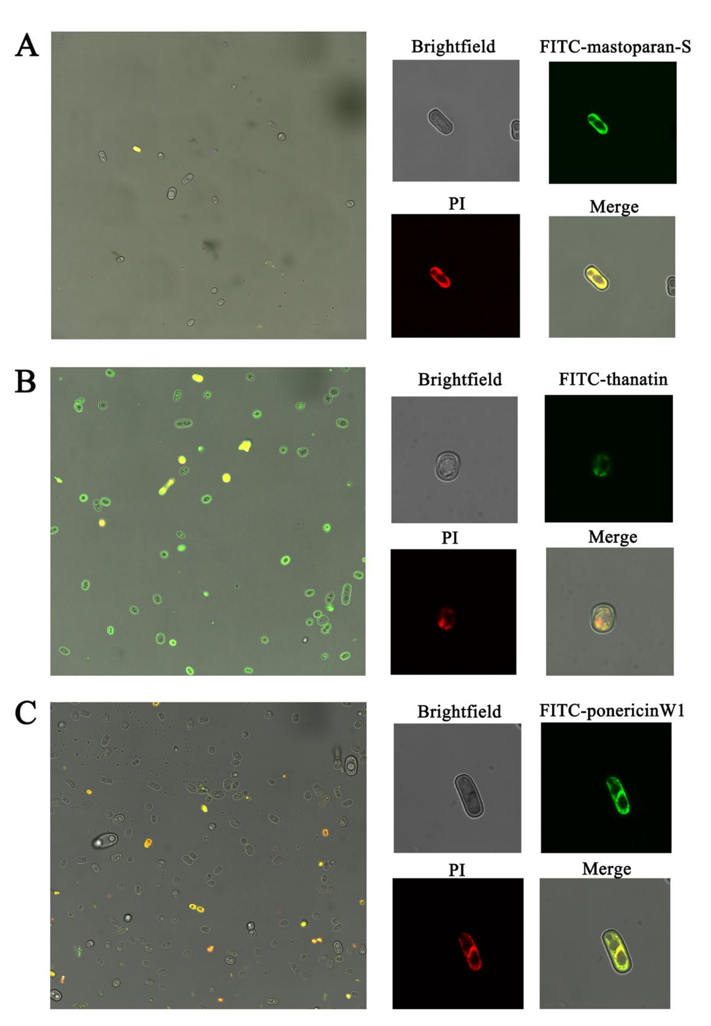 Foods 10 01919 g001 550