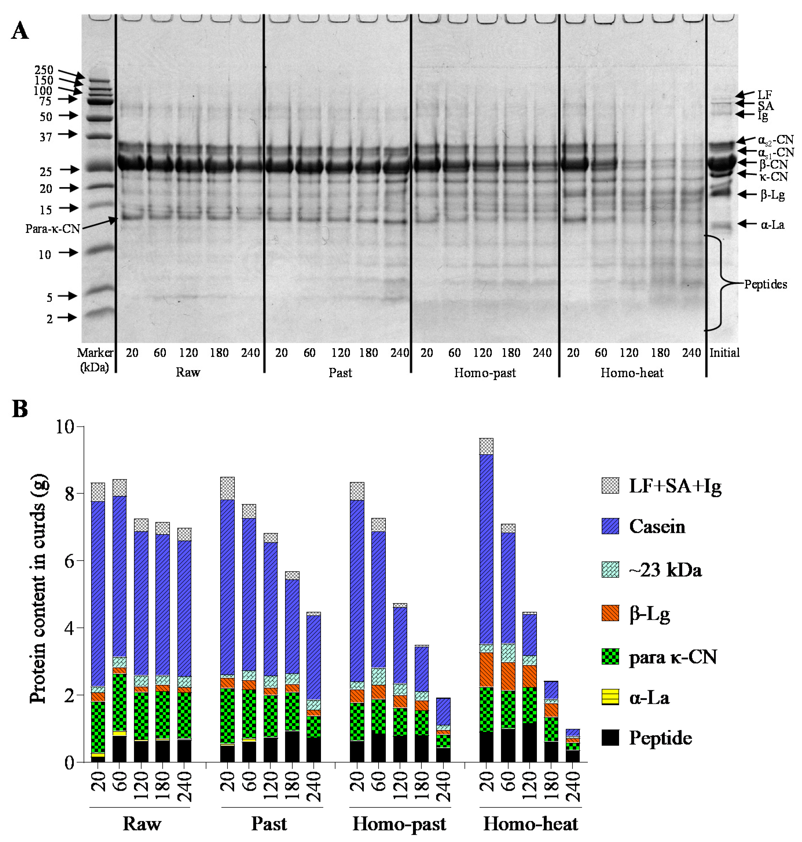 Foods 10 01938 g006 550