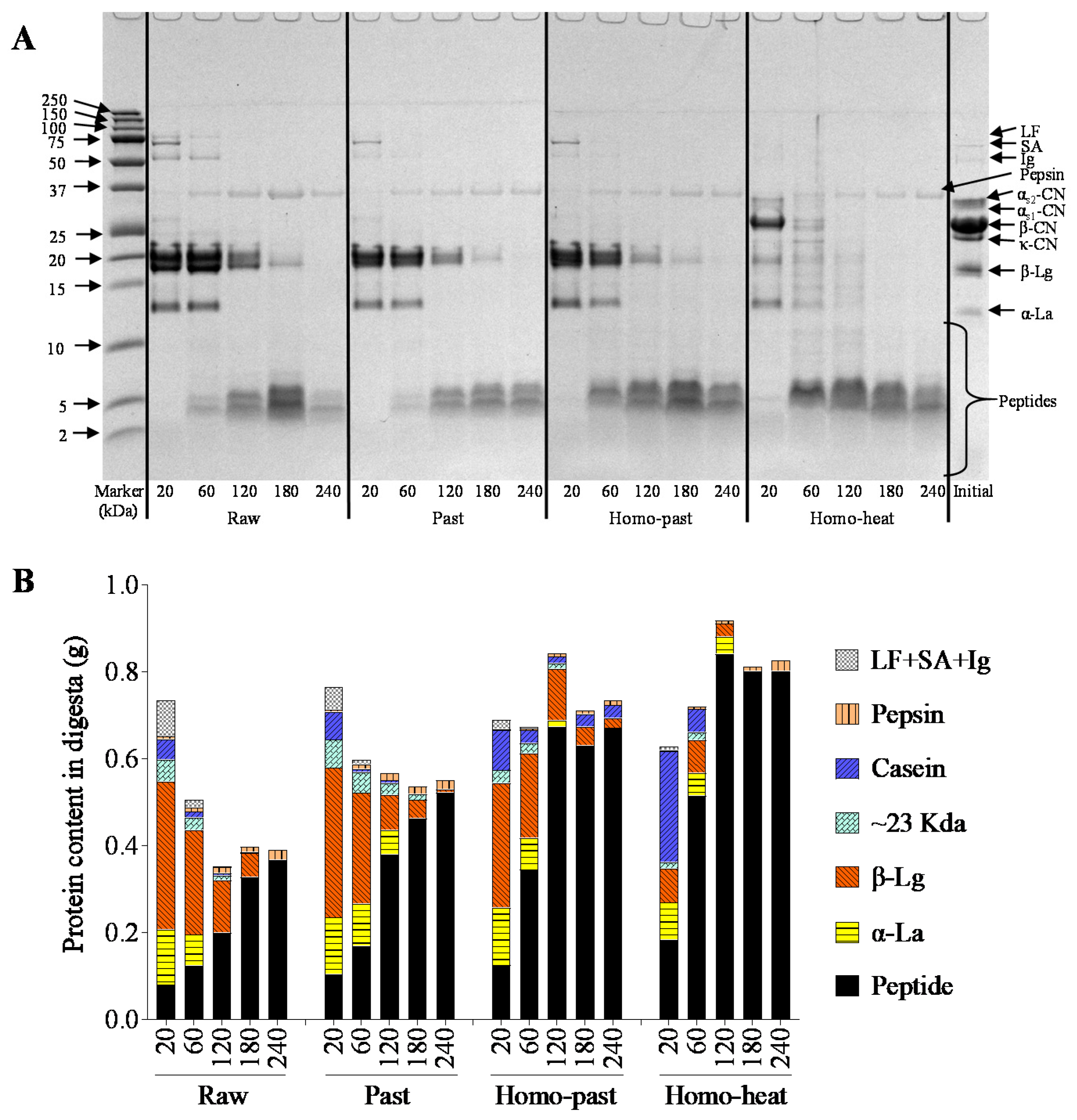 Foods 10 01938 g008 550