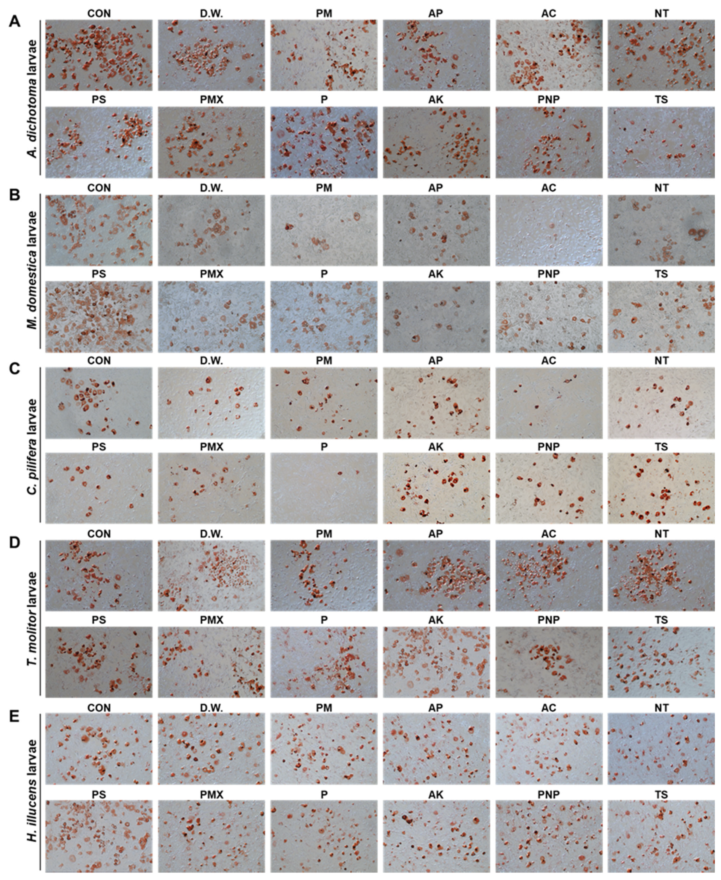 Foods 10 01973 g001a
