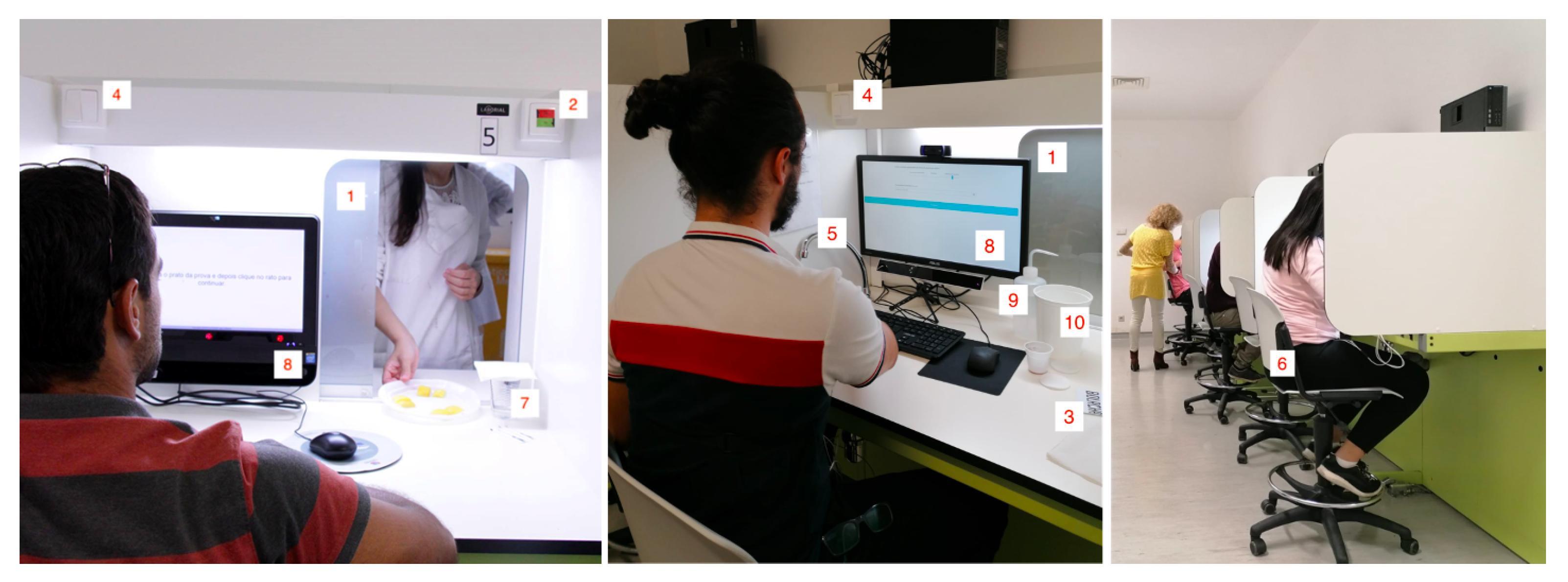 Foods 10 01974 g001 550