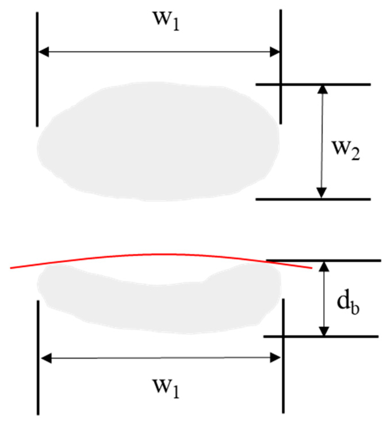 Foods 10 01980 g003 550