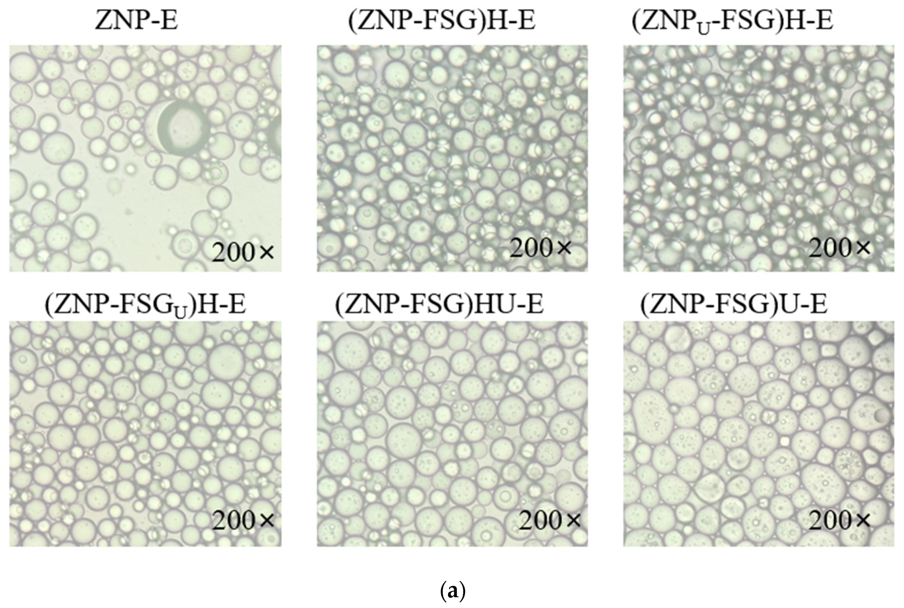 Foods 10 01990 g009a