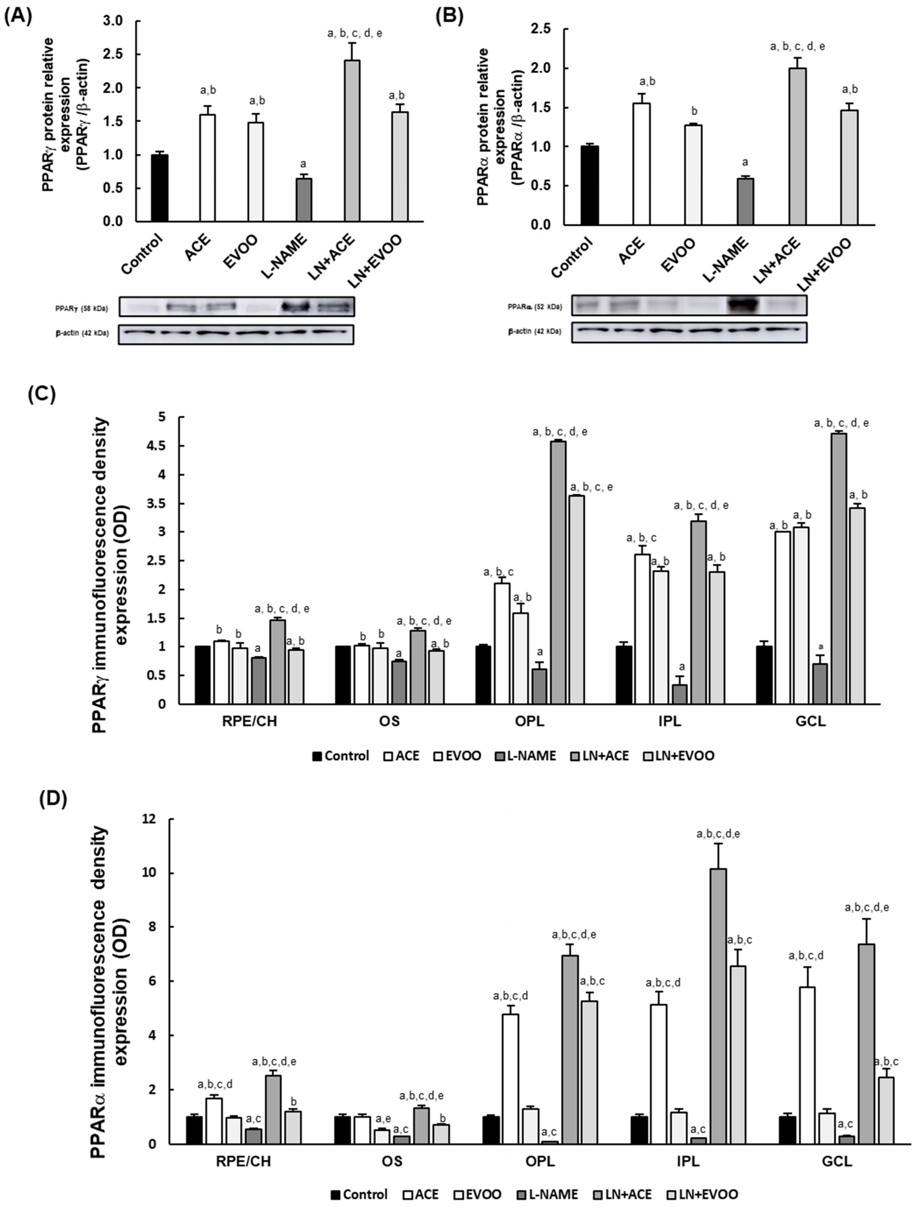 Foods 10 01993 g003a