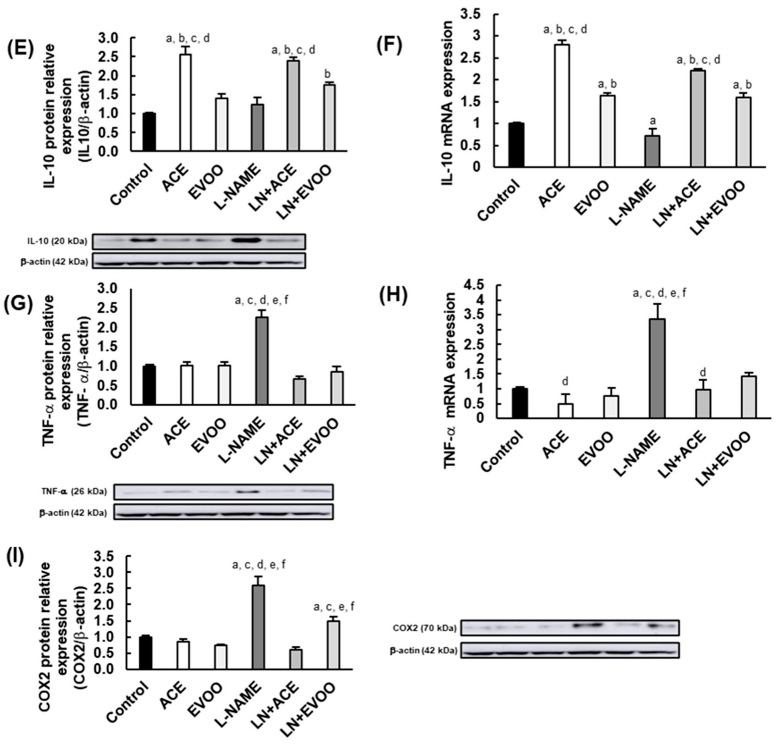 Foods 10 01993 g004b