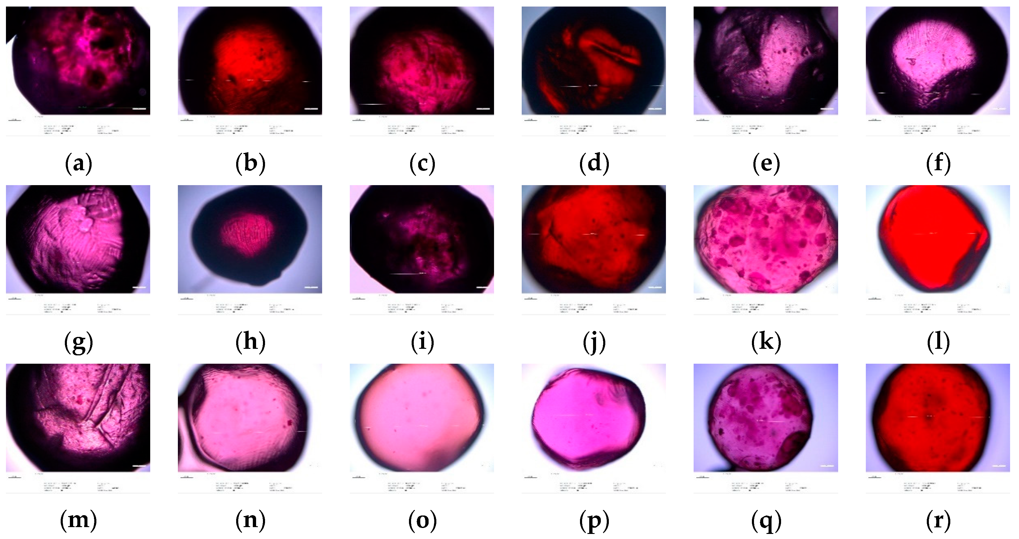 Foods 10 01994 g001a