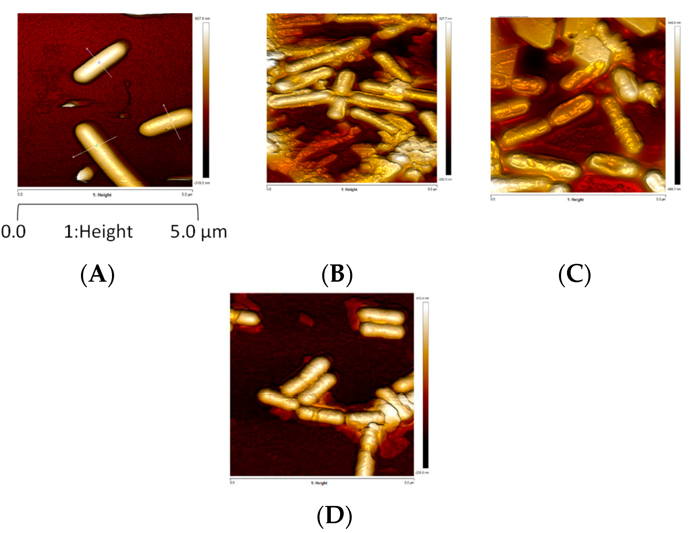 Foods 10 02002 g003 Foods 10 02002 g003
