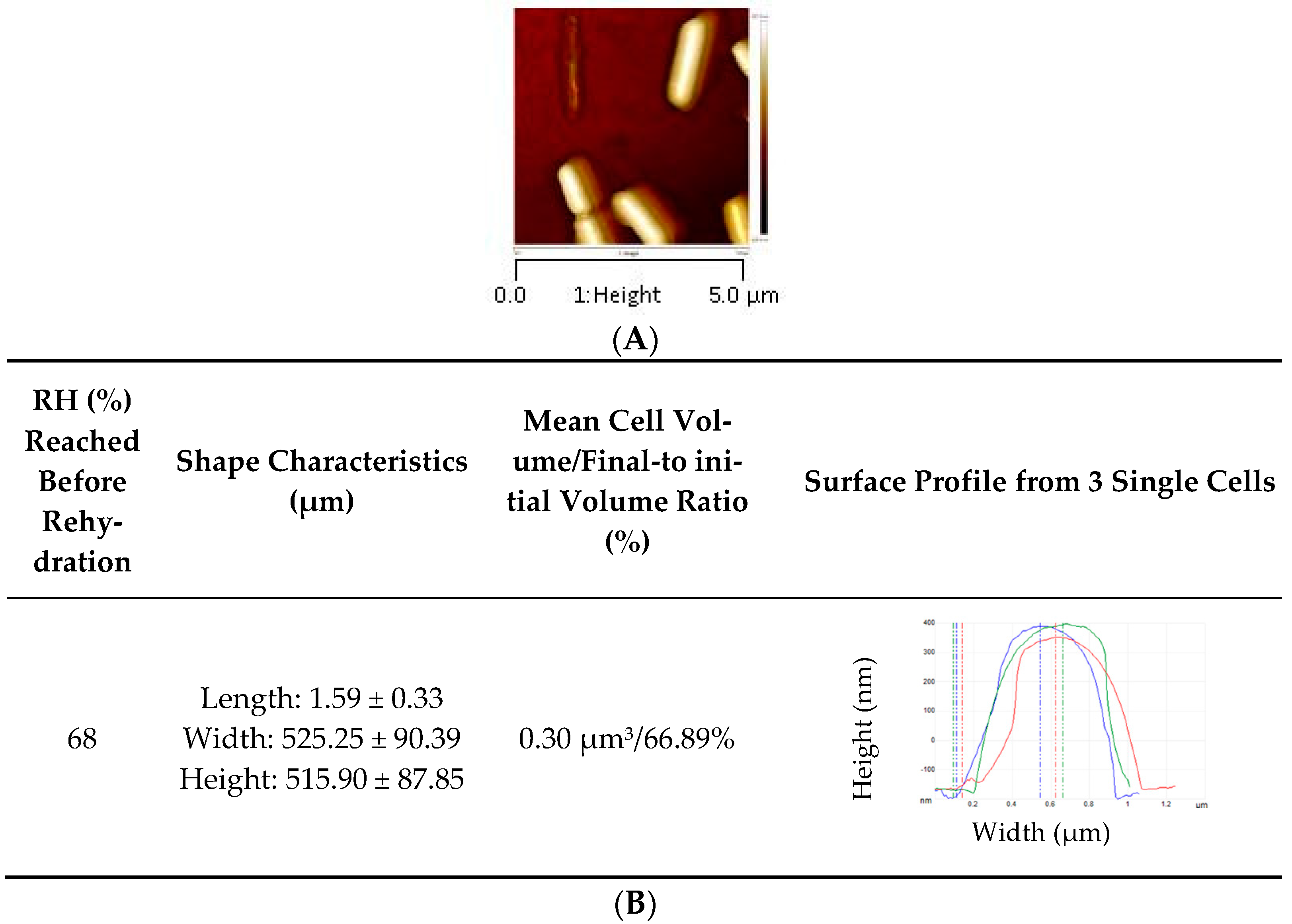 Foods 10 02002 g004 Foods 10 02002 g004