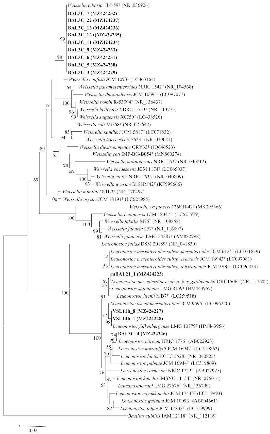 Foods 10 02004 g001 Foods 10 02004 g001