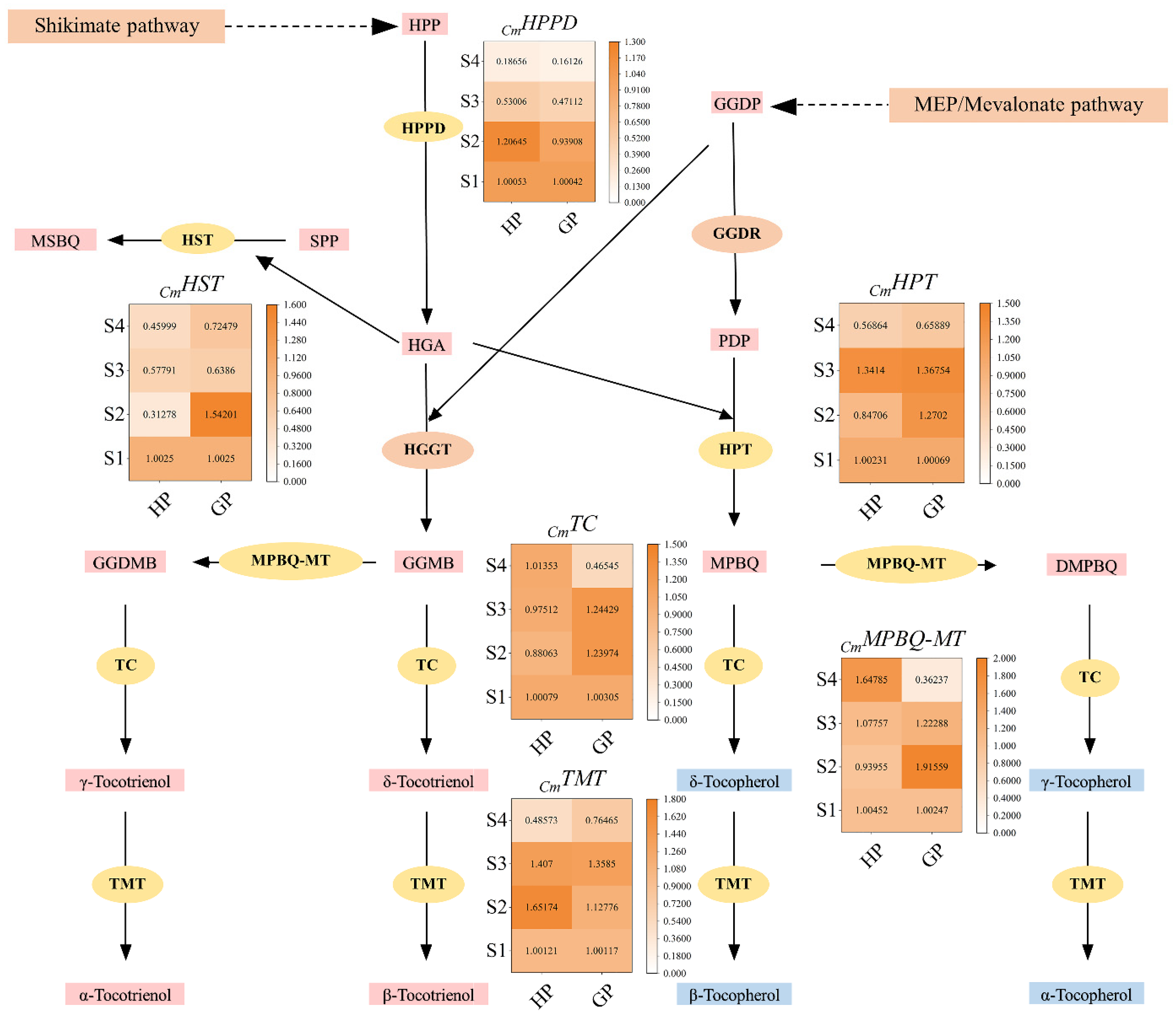 Foods 10 02022 g005 550