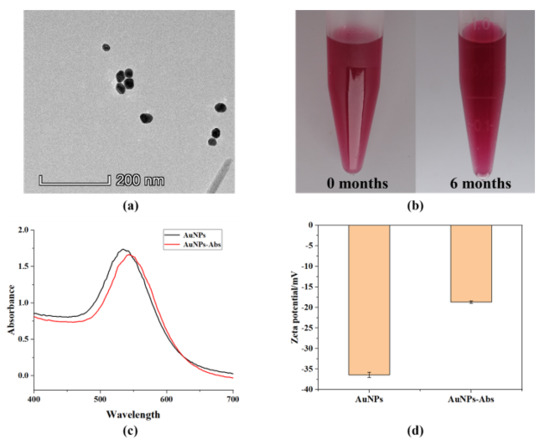 Lateral Flow Immunochromatography Assay for Detection of