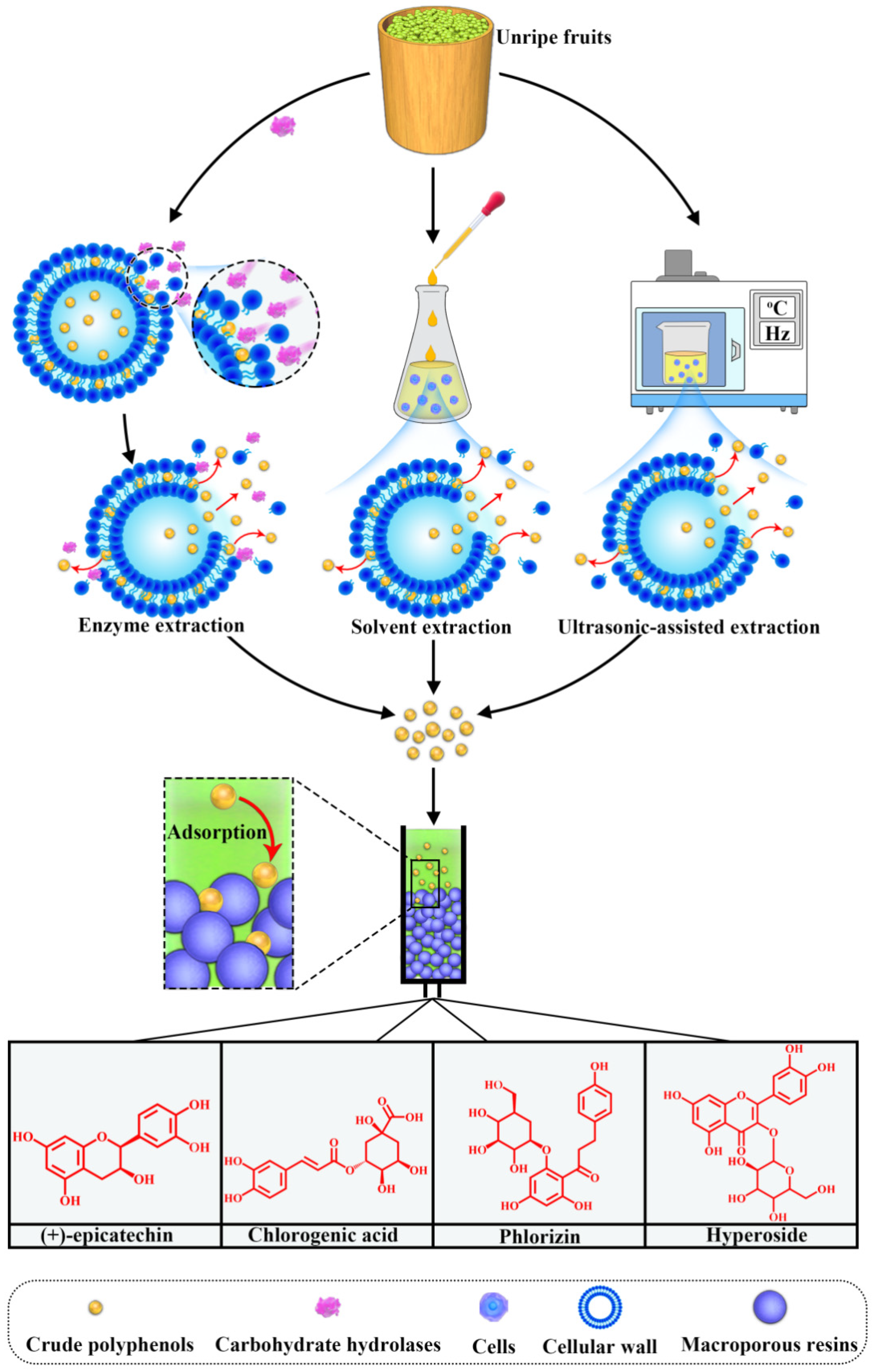 Foods 10 02043 g004 Foods 10 02043 g004