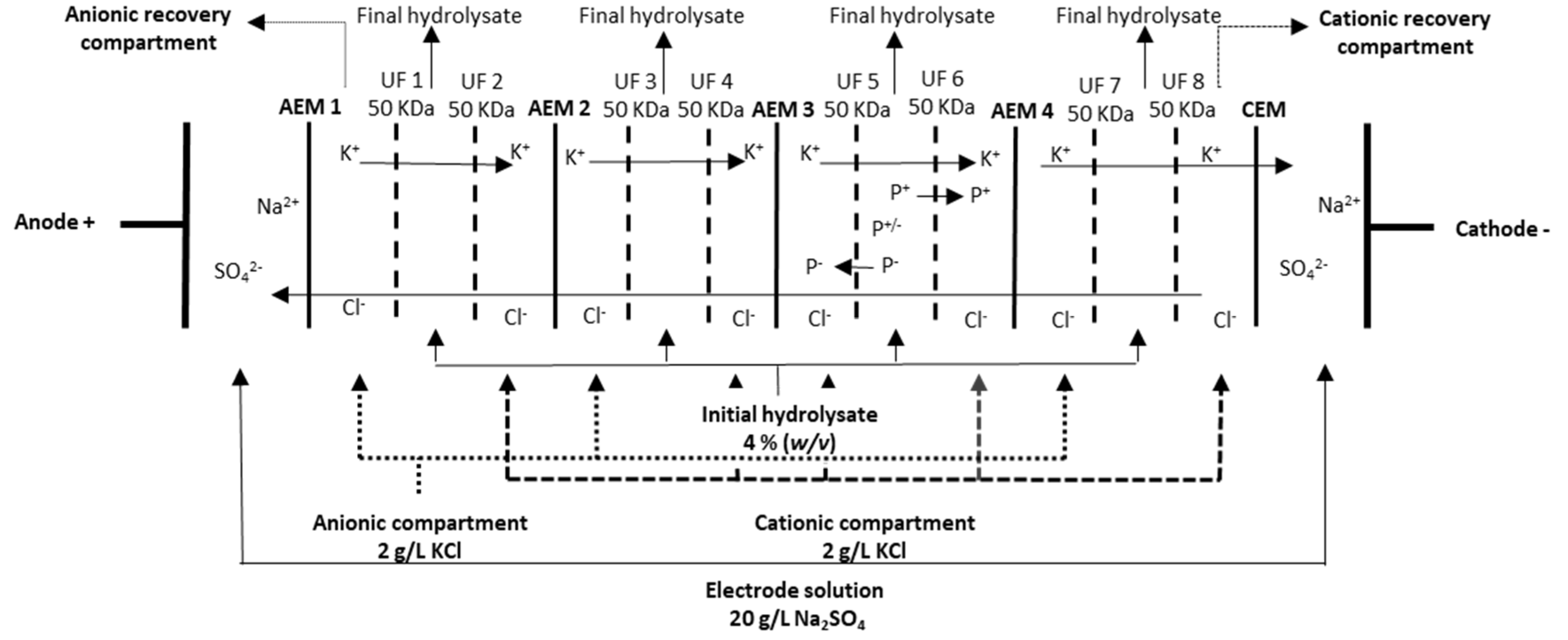 Foods 10 02046 g001 550