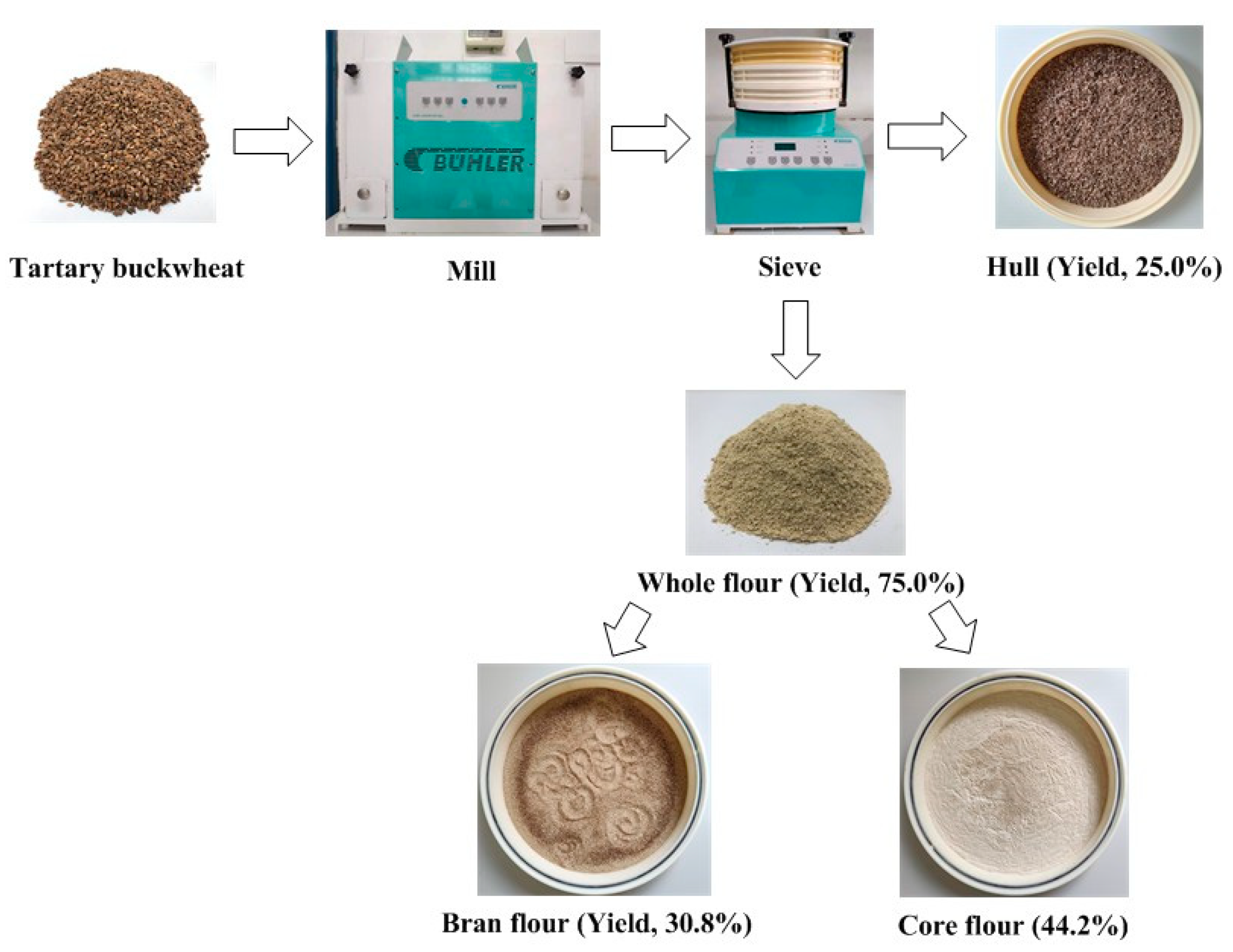 Foods Free FullText Effects of Tartary Buckwheat Bran Flour on