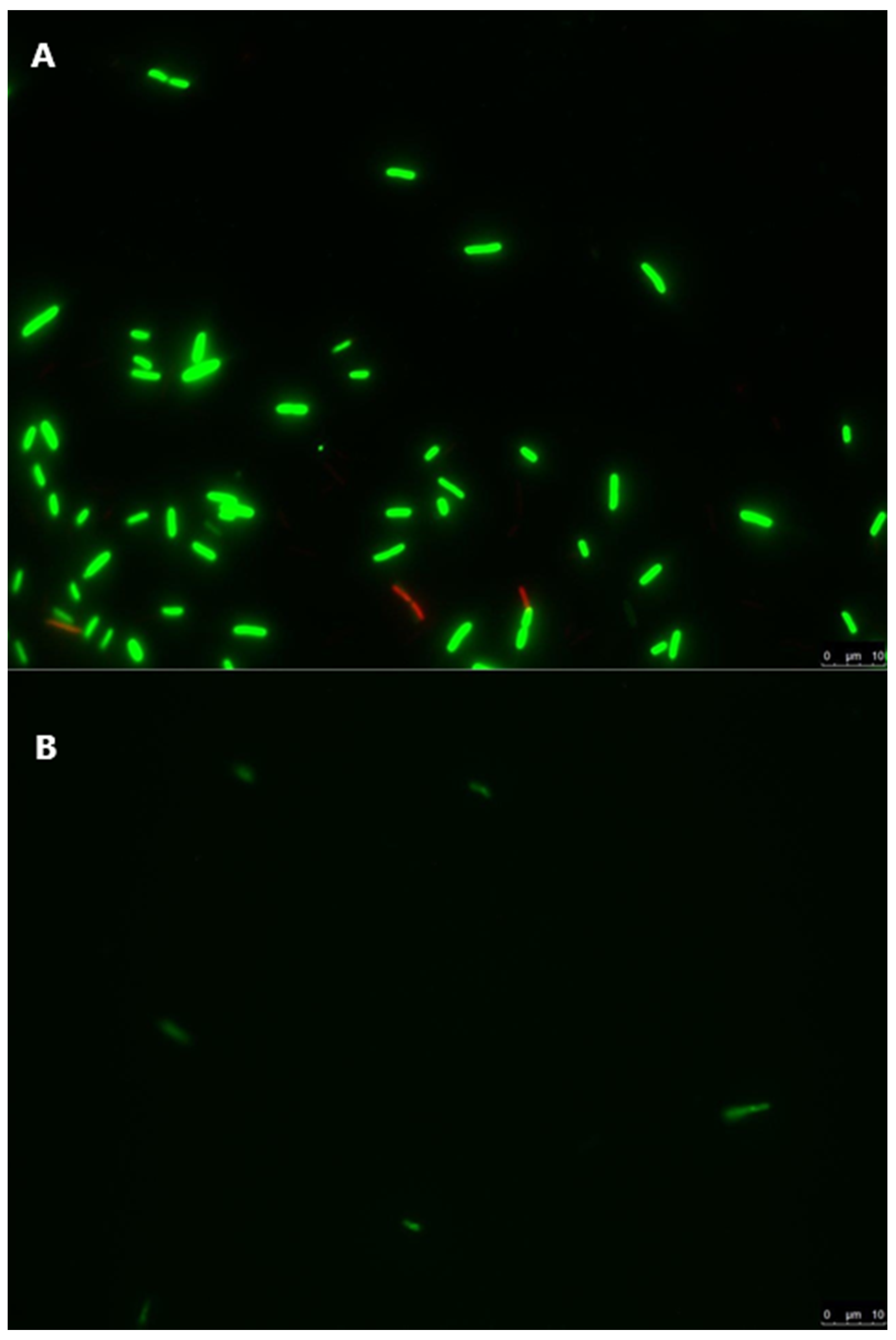 Foods 10 02072 g003 Foods 10 02072 g003