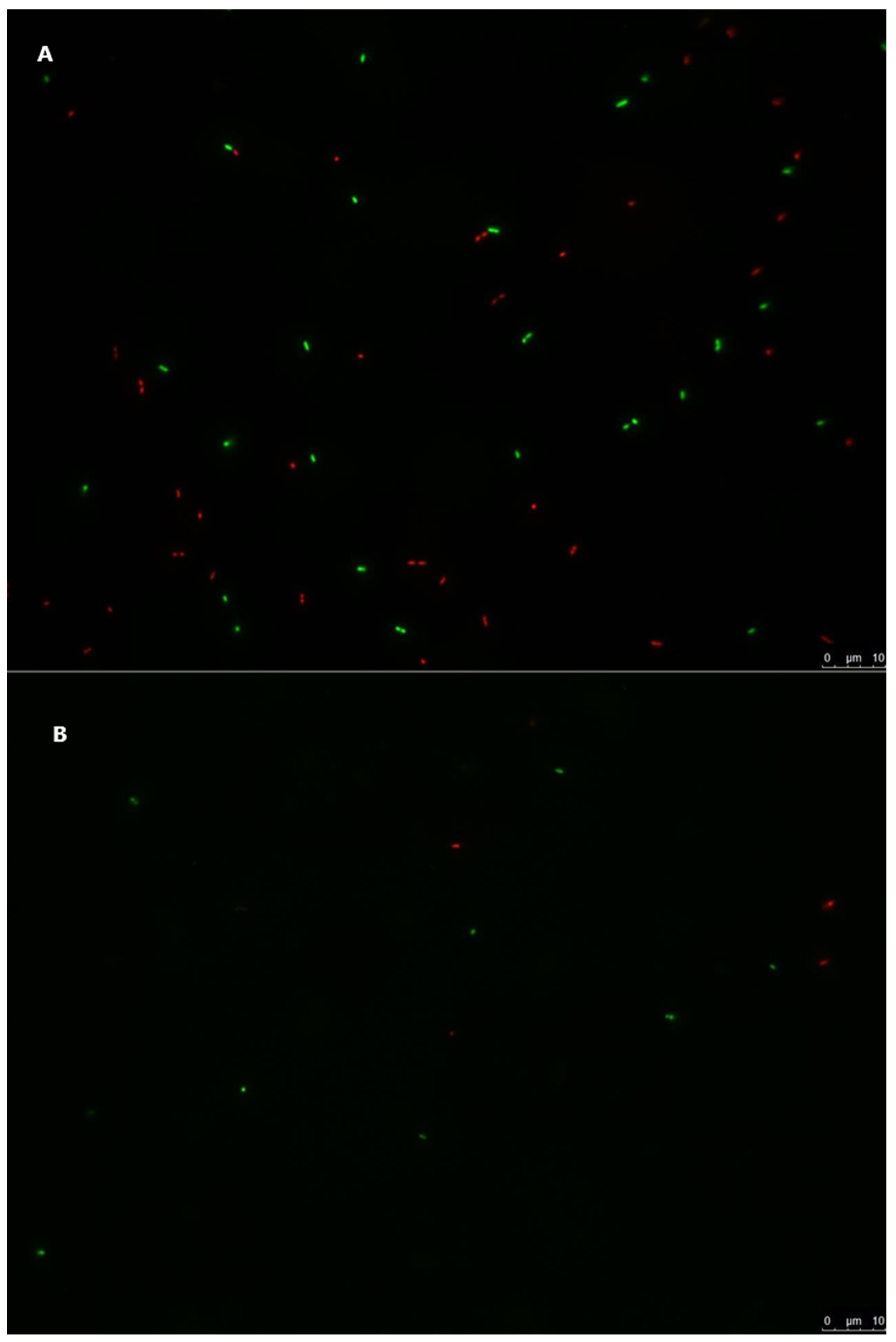 Foods 10 02072 g004 Foods 10 02072 g004