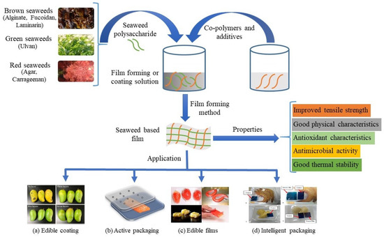 Seaweed Polysaccharide in Food Contact Materials (Active Packaging 