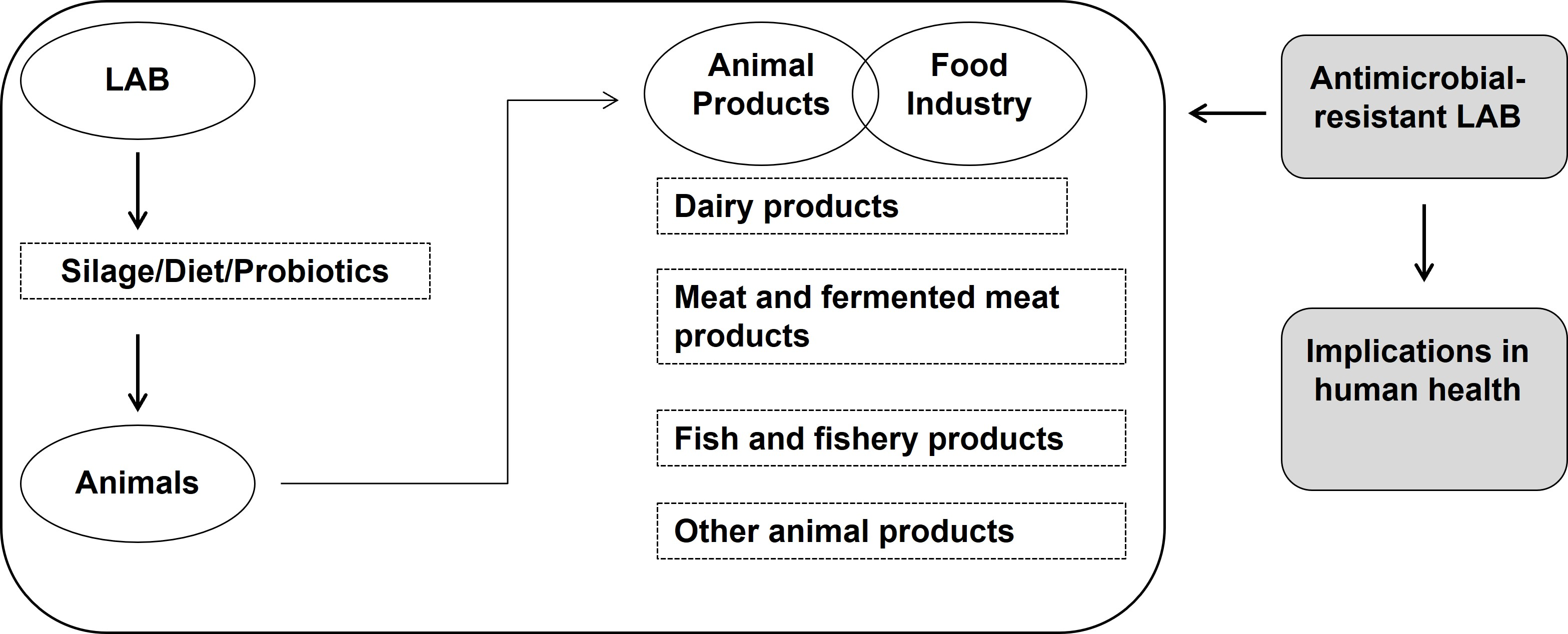 foods free full text role of exposure to lactic acid bacteria from foods of animal origin in human health html