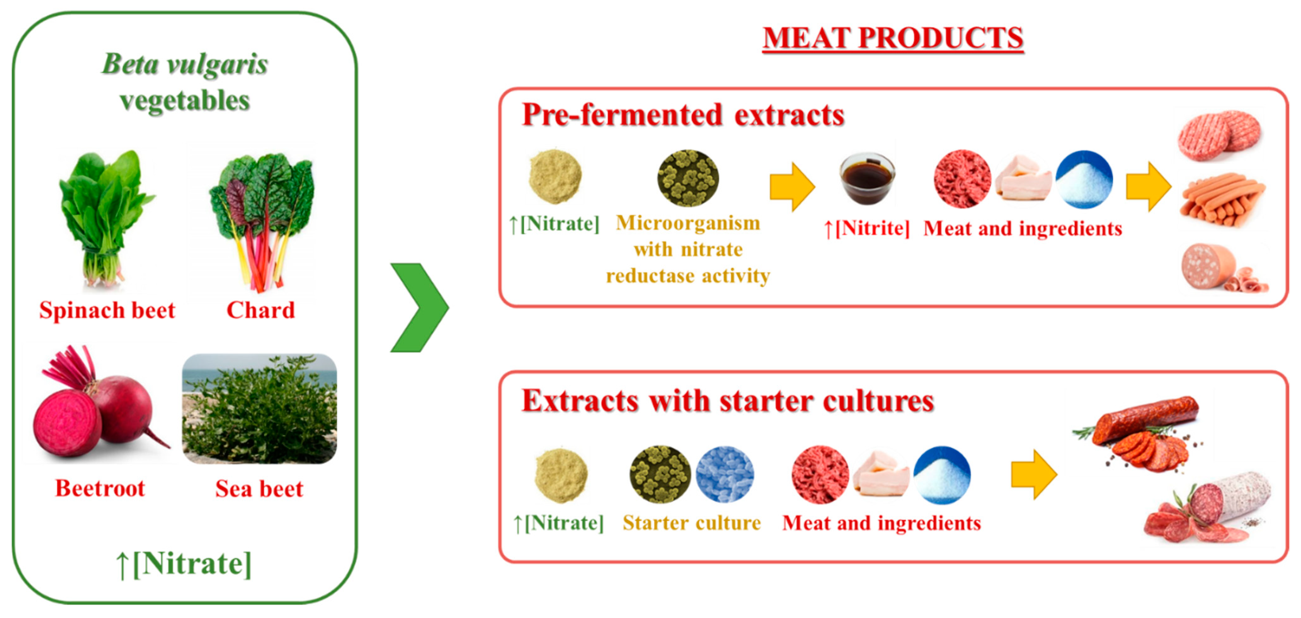 Foods 10 02094 g001 Foods 10 02094 g001