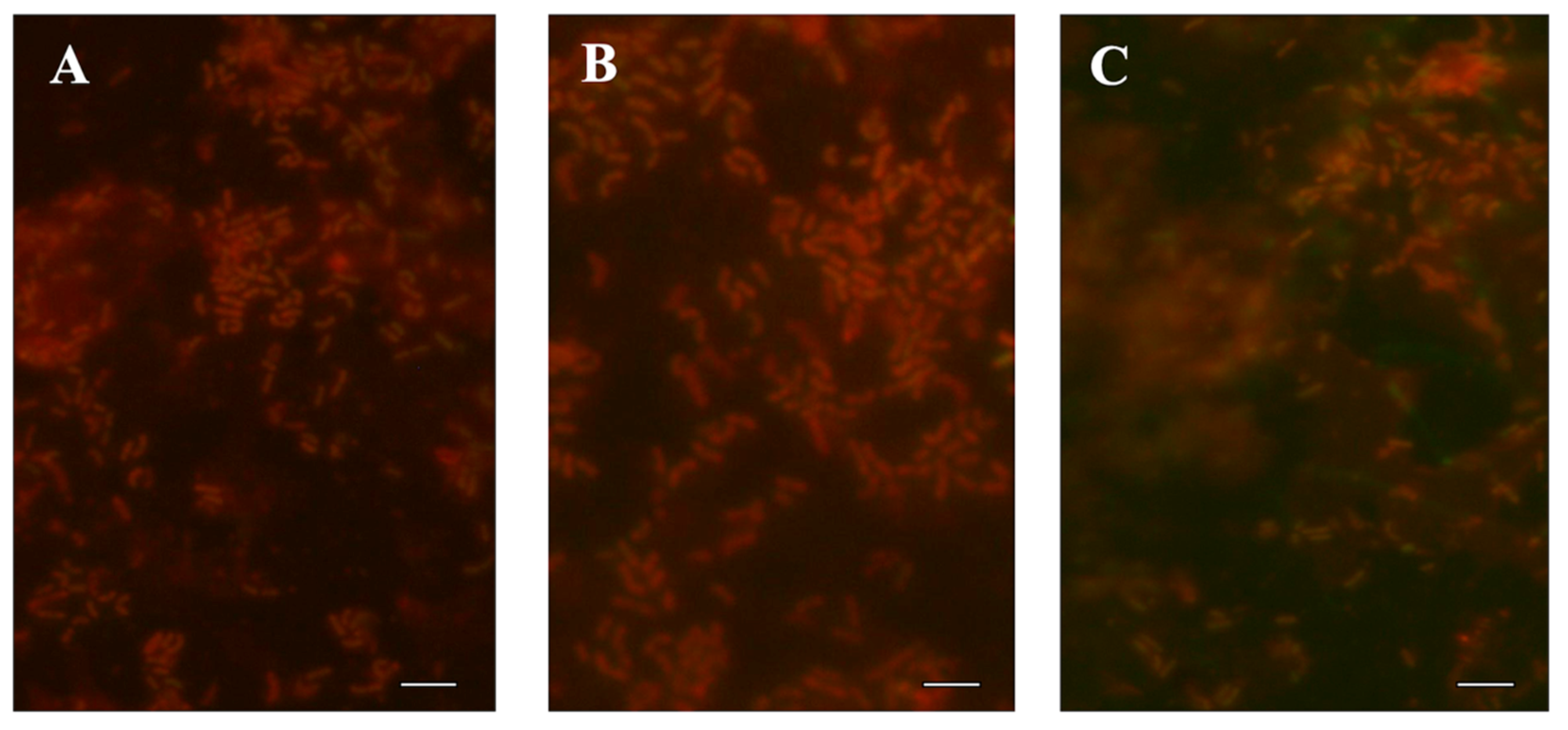 Foods 10 02097 g001 550