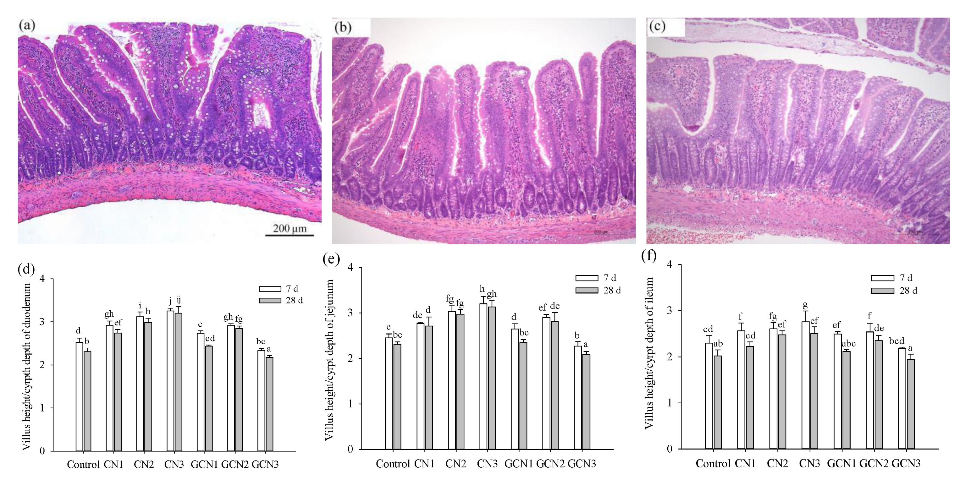 Foods 10 02104 g002 550
