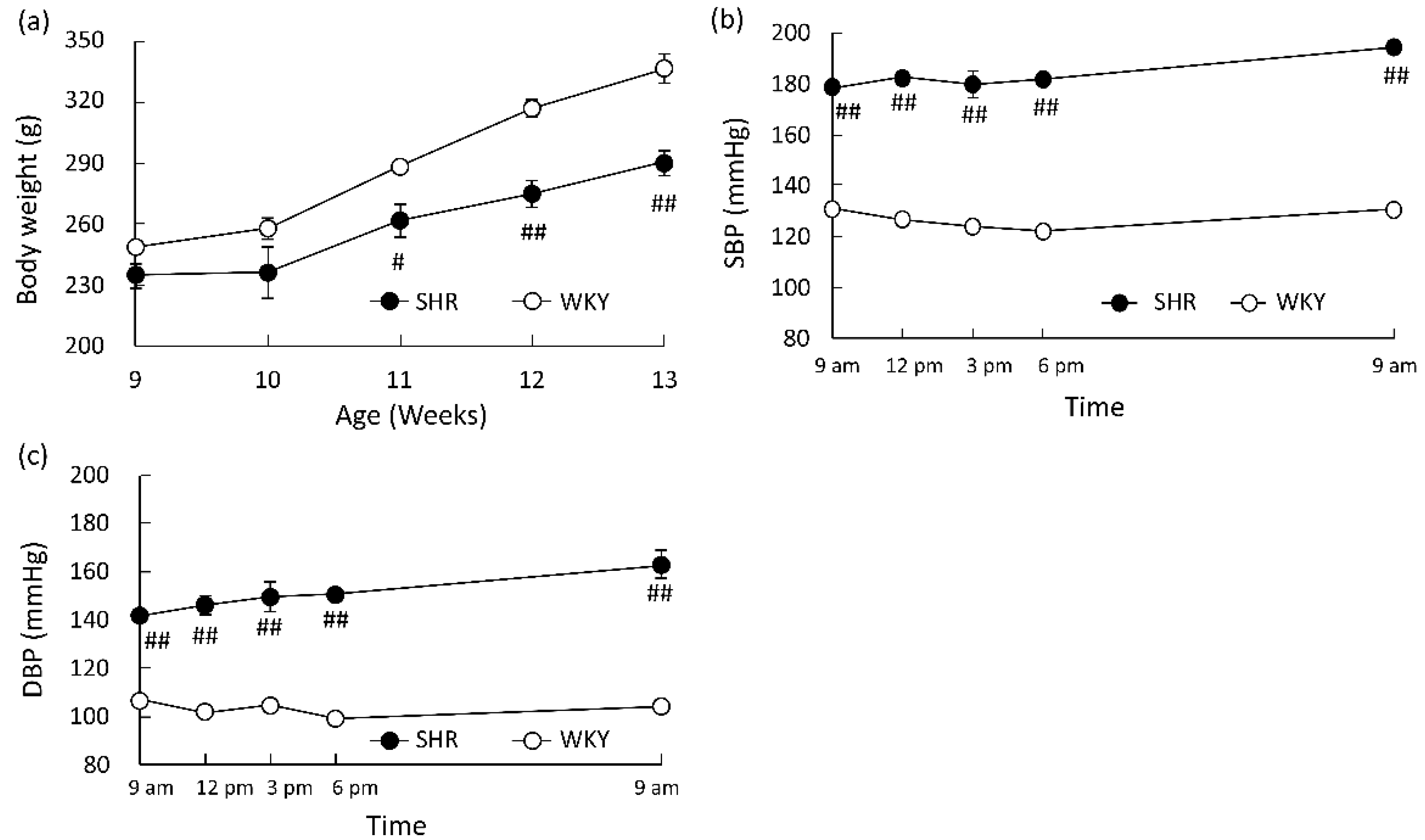 Foods 10 02107 g001 550