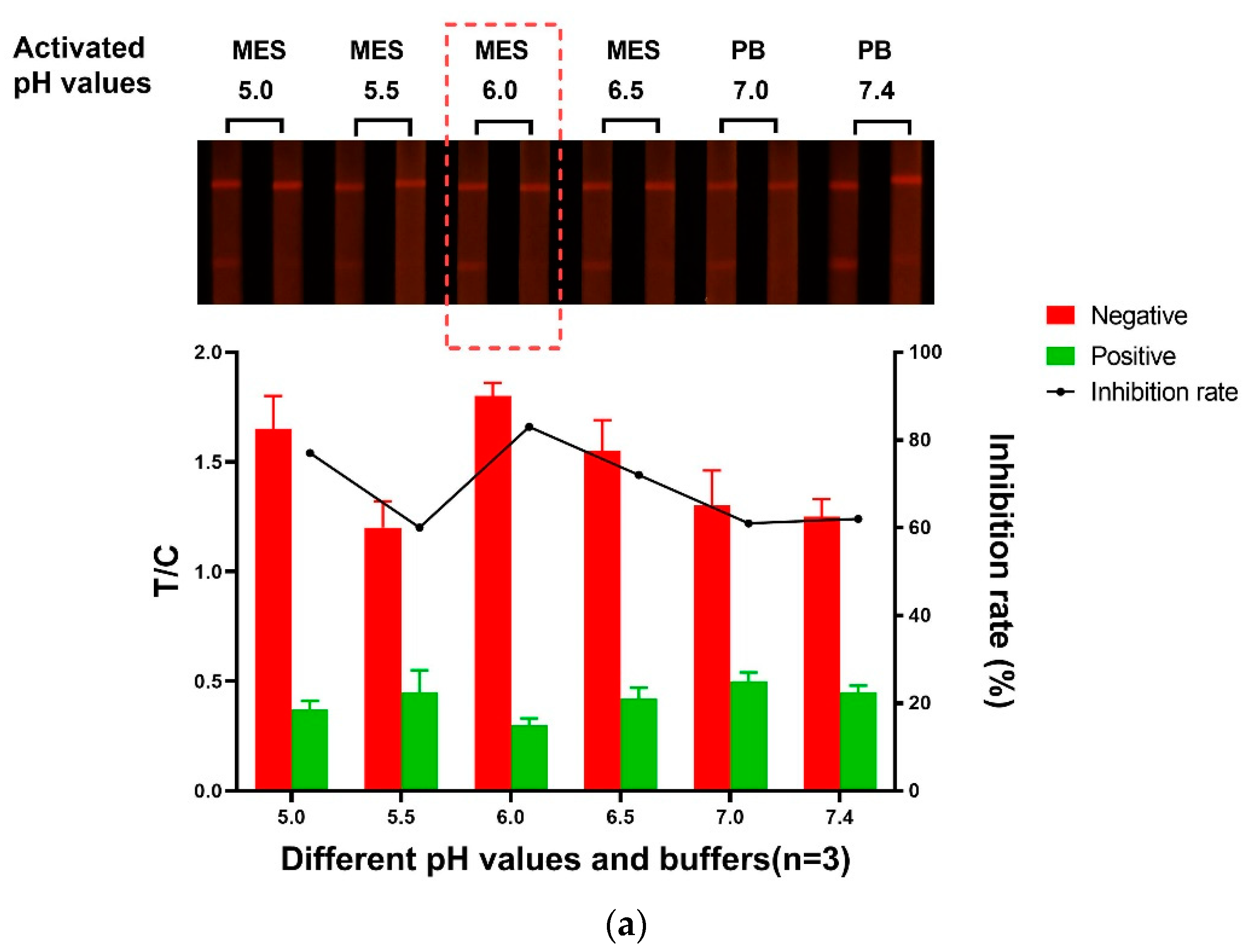 Foods 10 02109 g002a