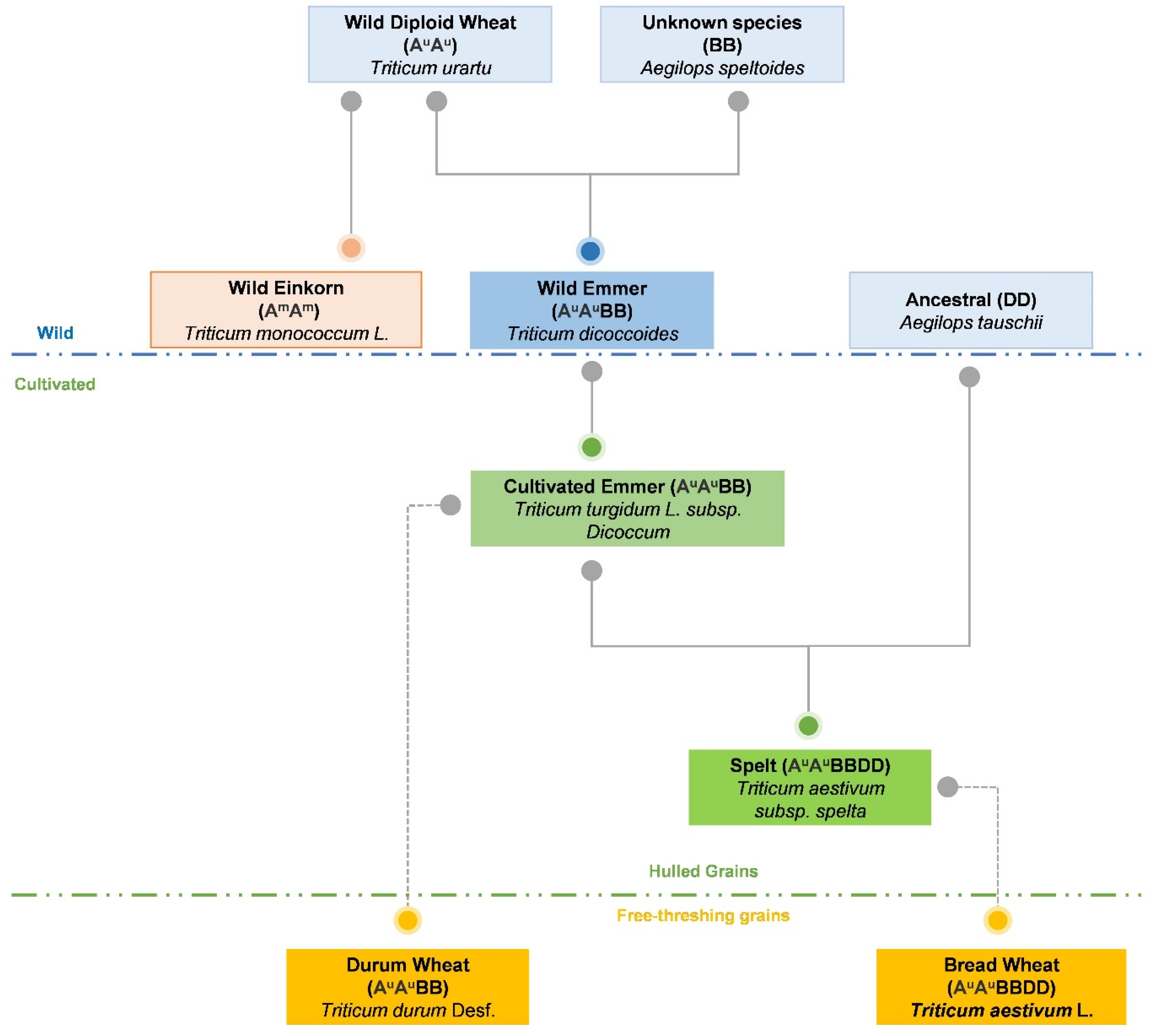 Foods 10 02124 g001 Foods 10 02124 g001