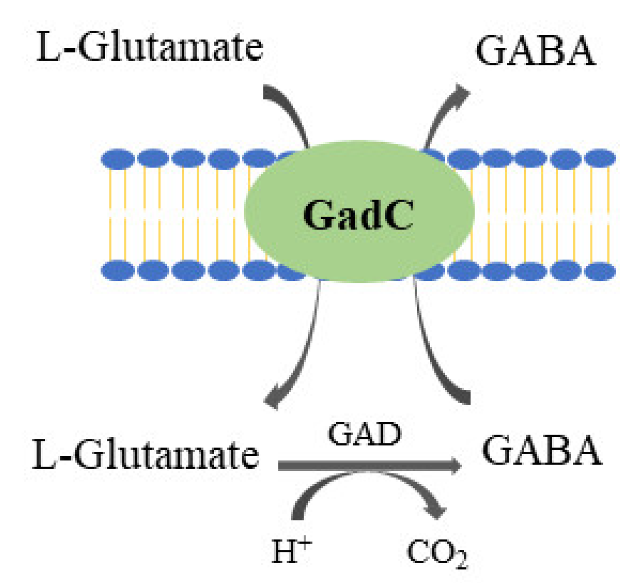 Foods 10 02148 g001 550