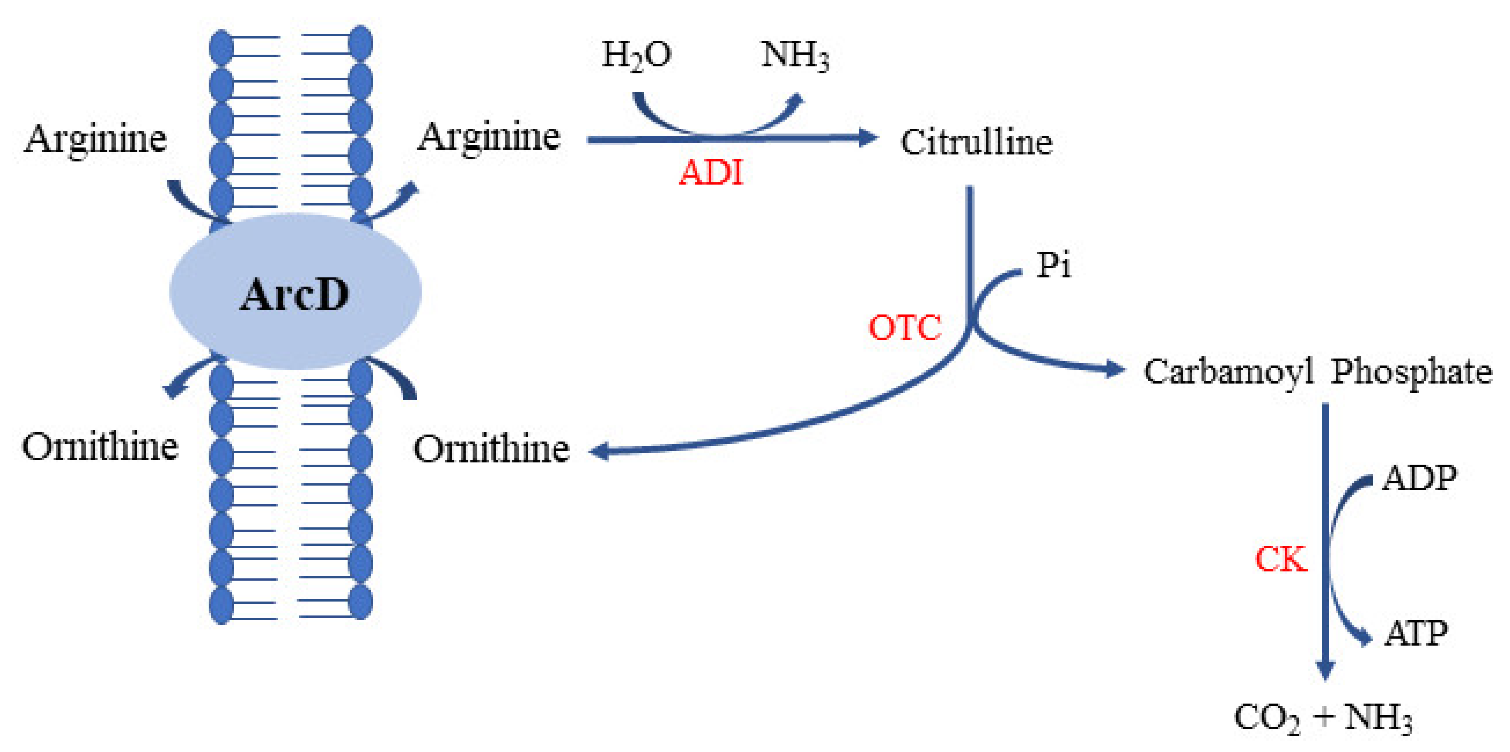 Foods 10 02148 g002 550