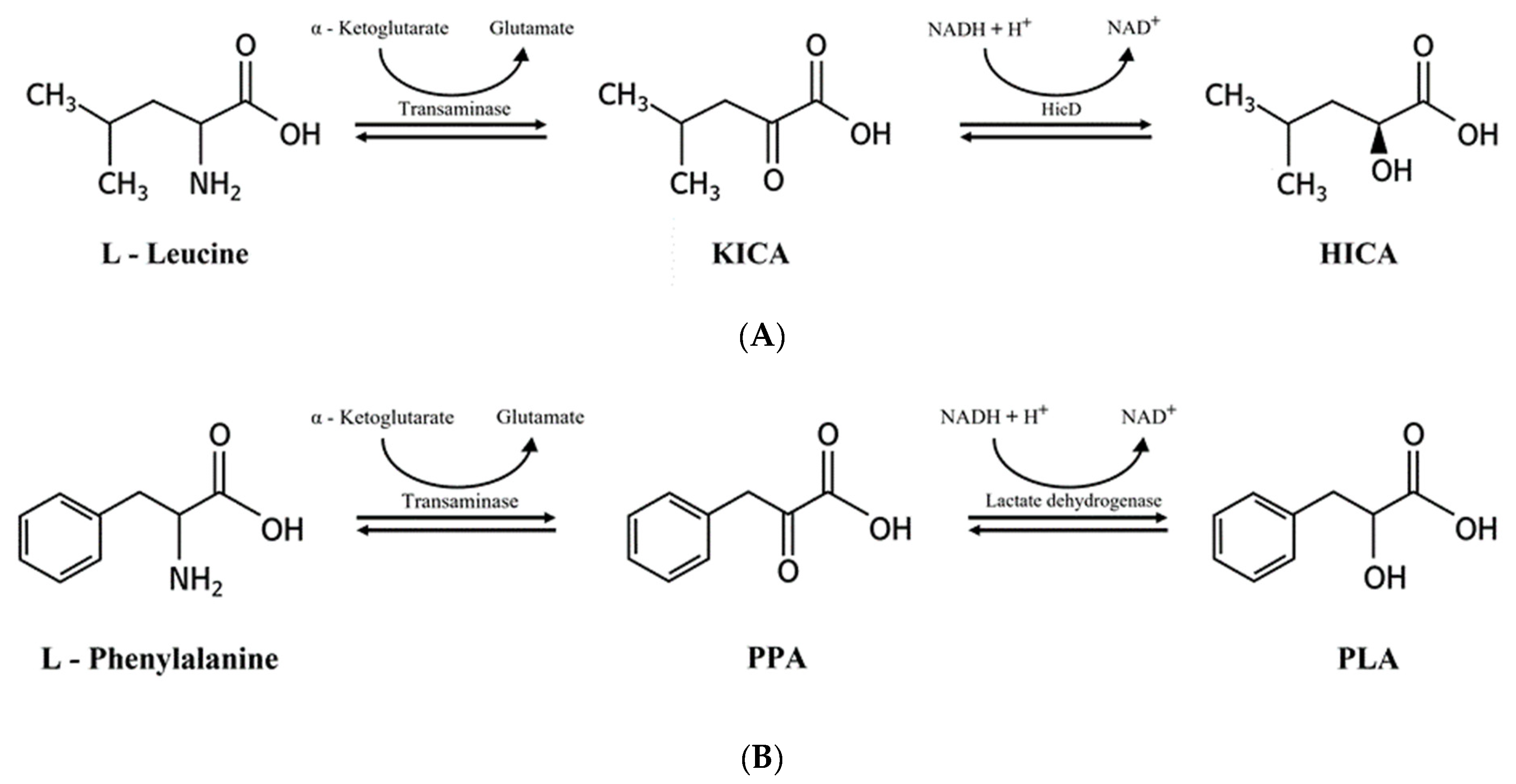 Foods 10 02148 g004 550
