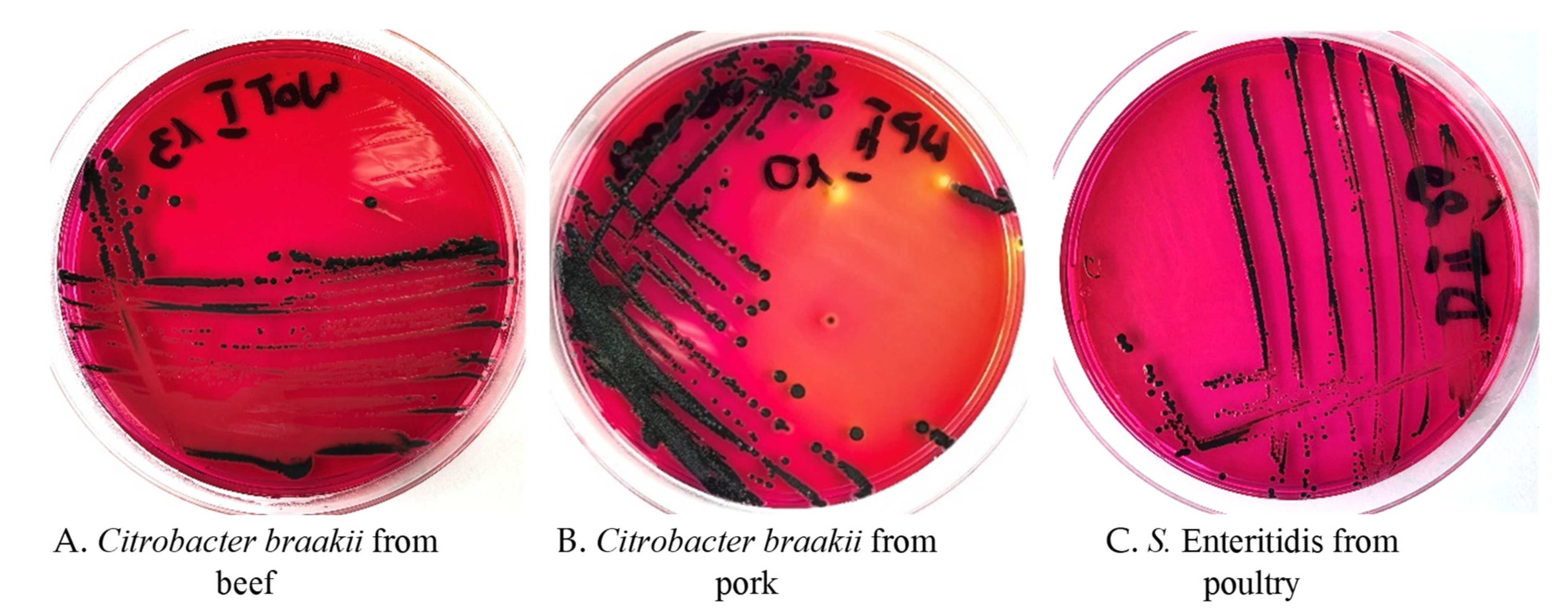 Foods 10 02177 g001 550