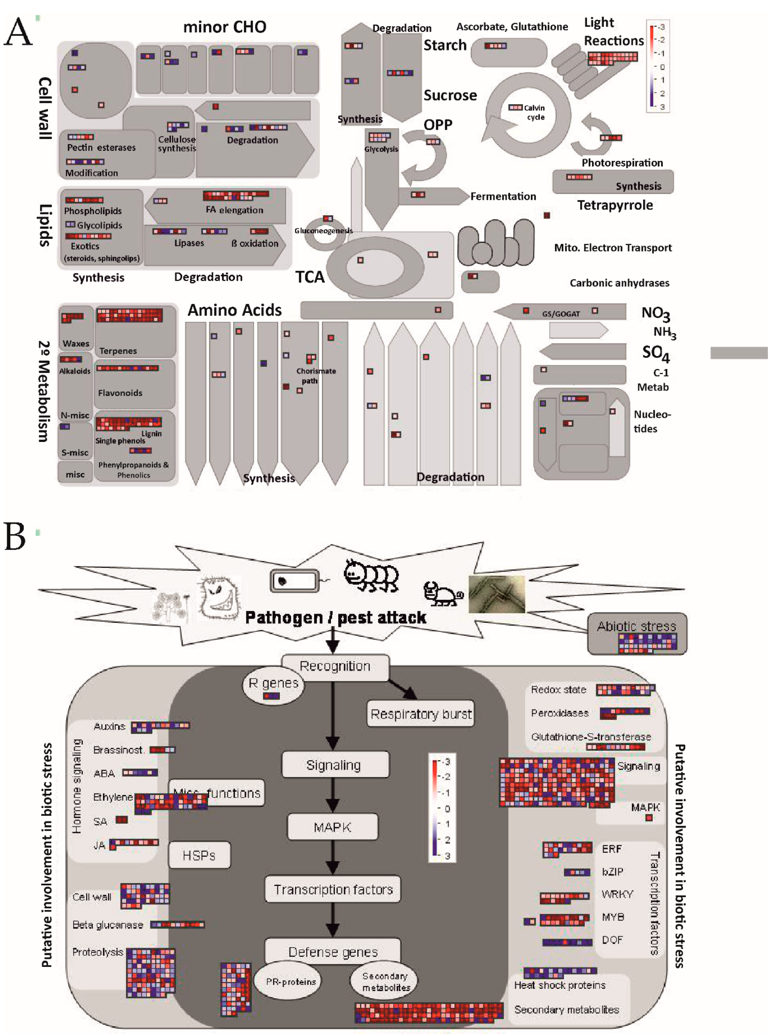 Foods 10 02196 g004 550