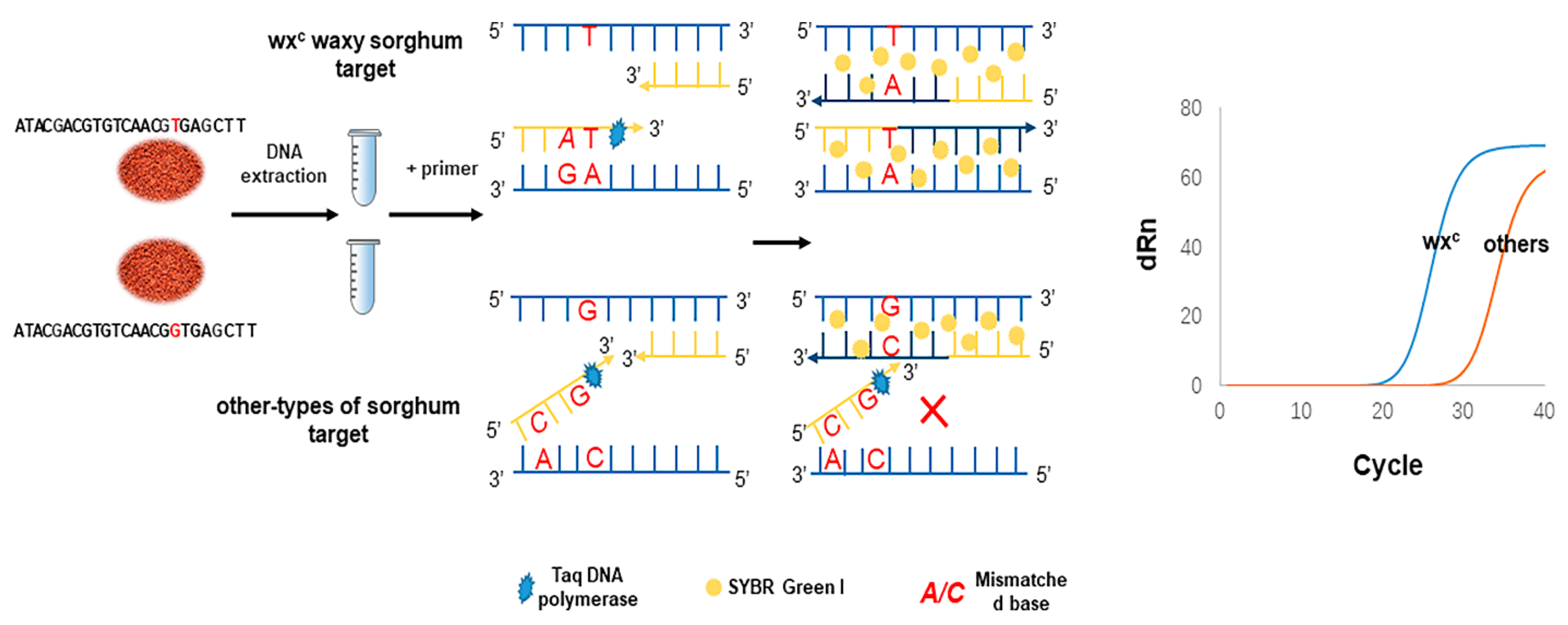 Foods 10 02218 sch001